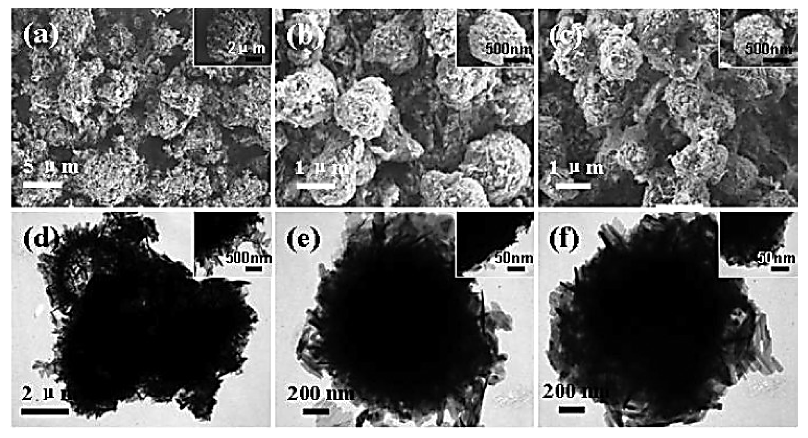 Nanomaterials 14 01799 g008