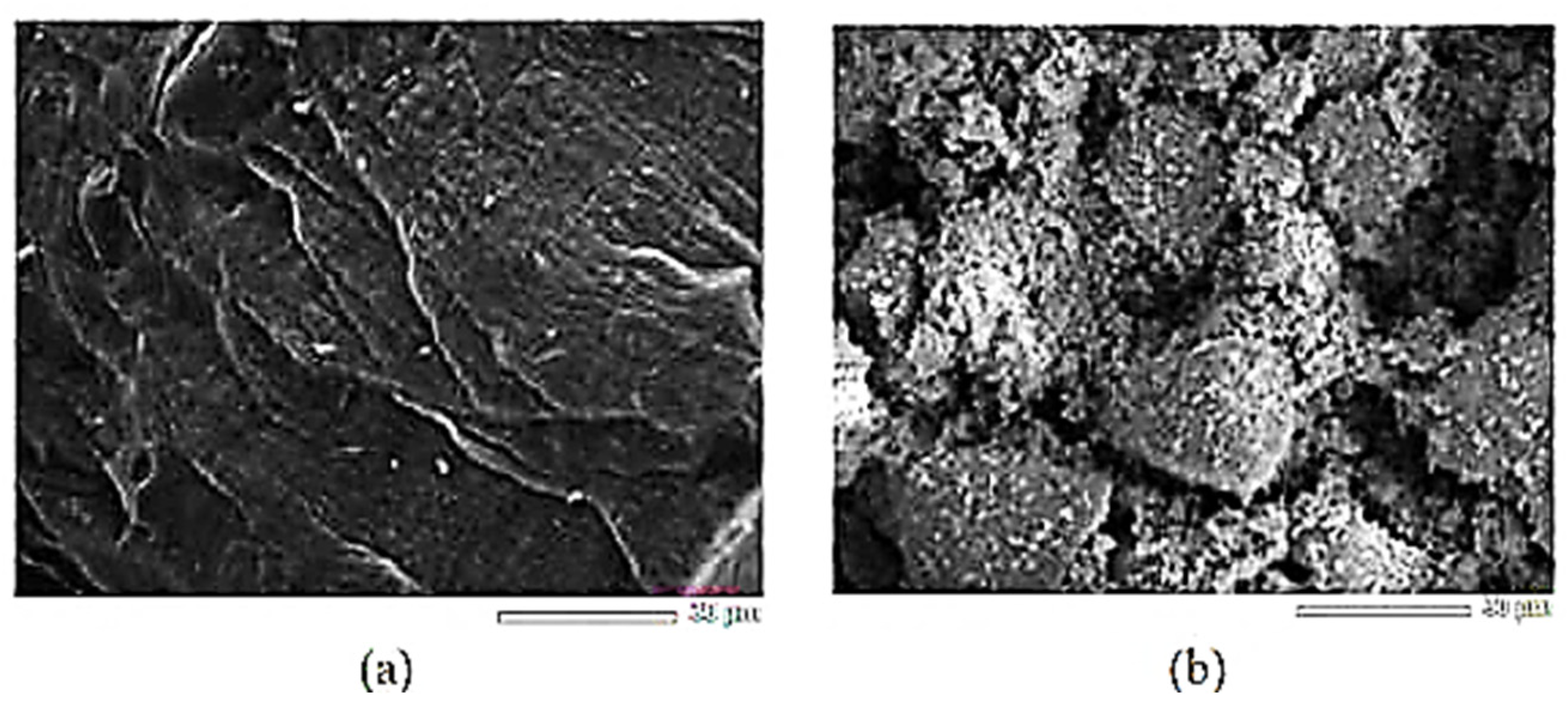 Nanomaterials 14 01799 g010