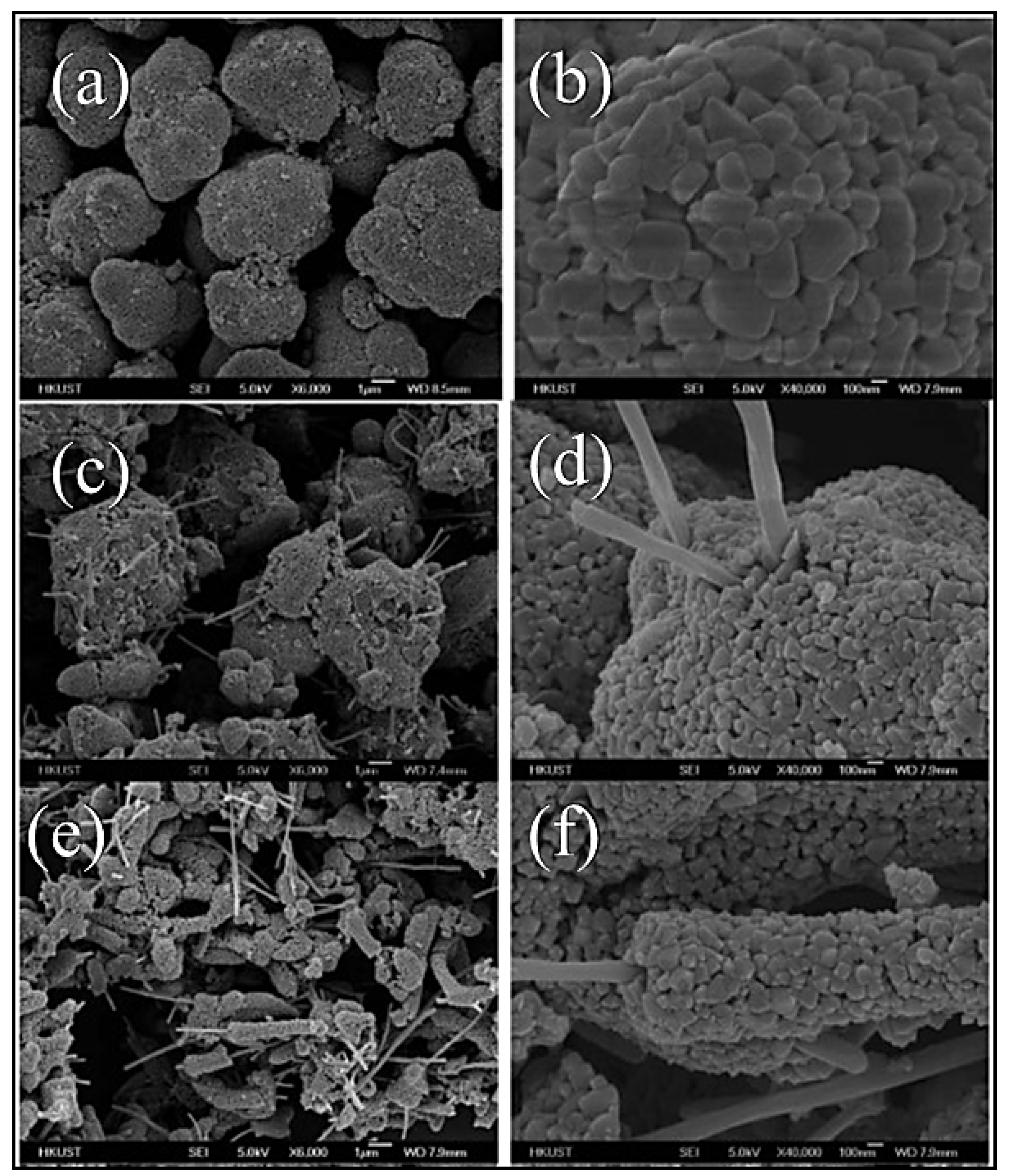 Nanomaterials 14 01799 g011