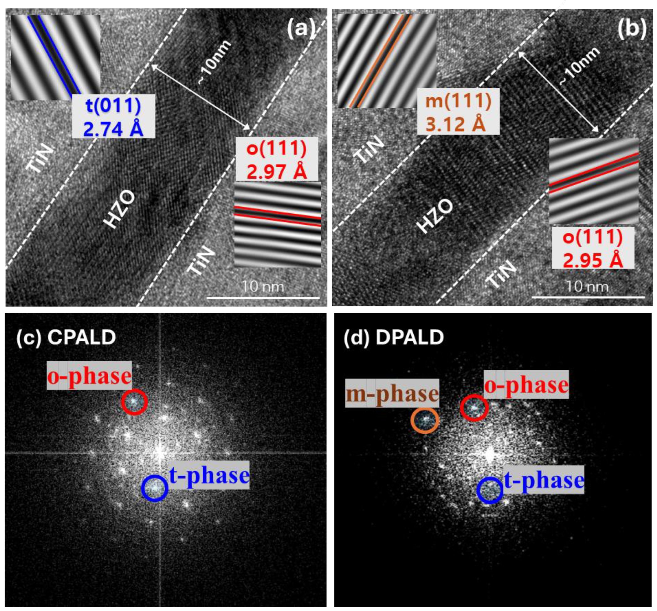Nanomaterials 14 01801 g010