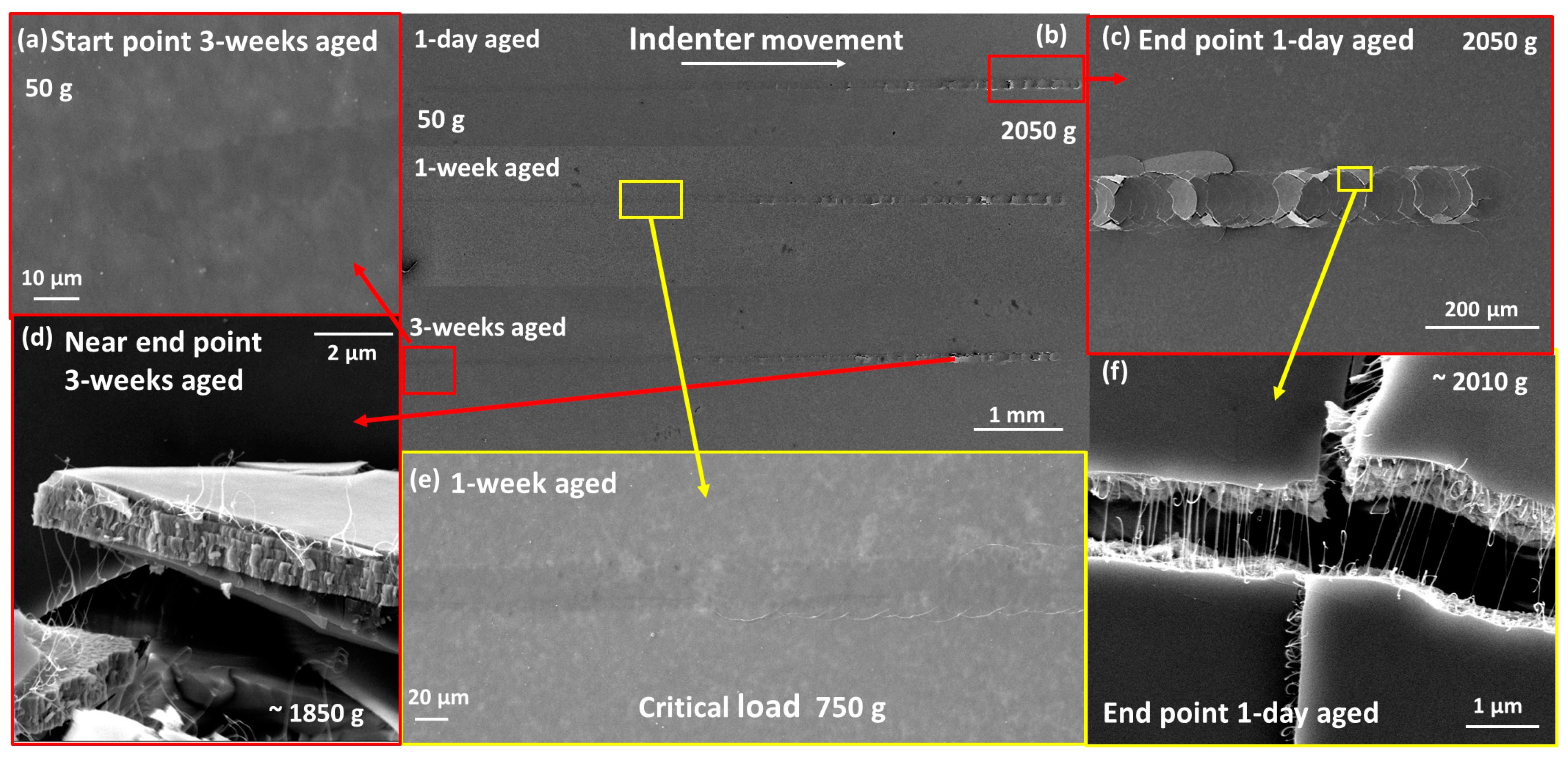 Nanomaterials 14 01806 g006