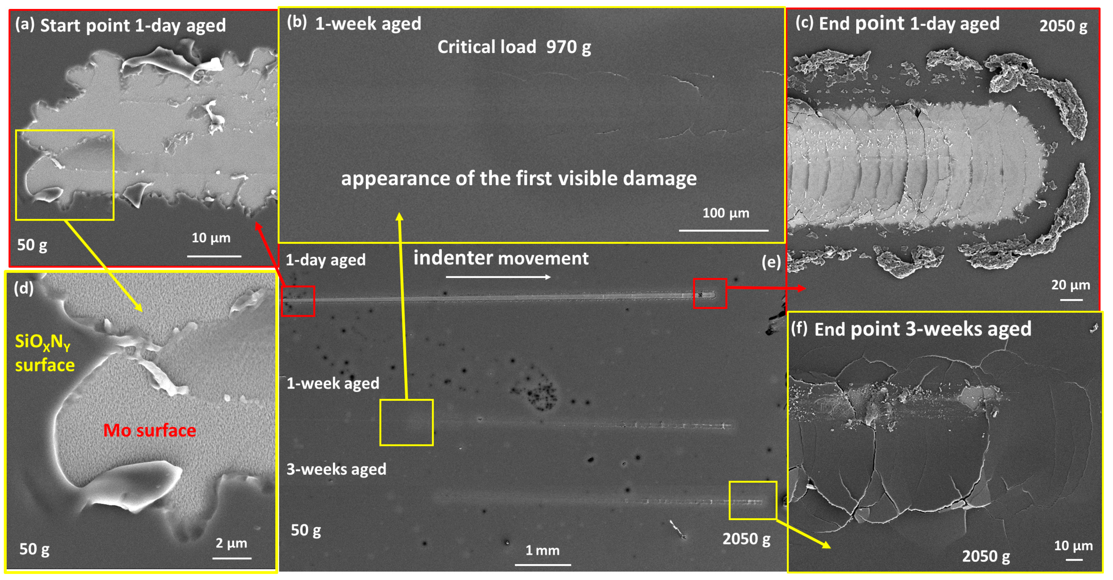 Nanomaterials 14 01806 g008