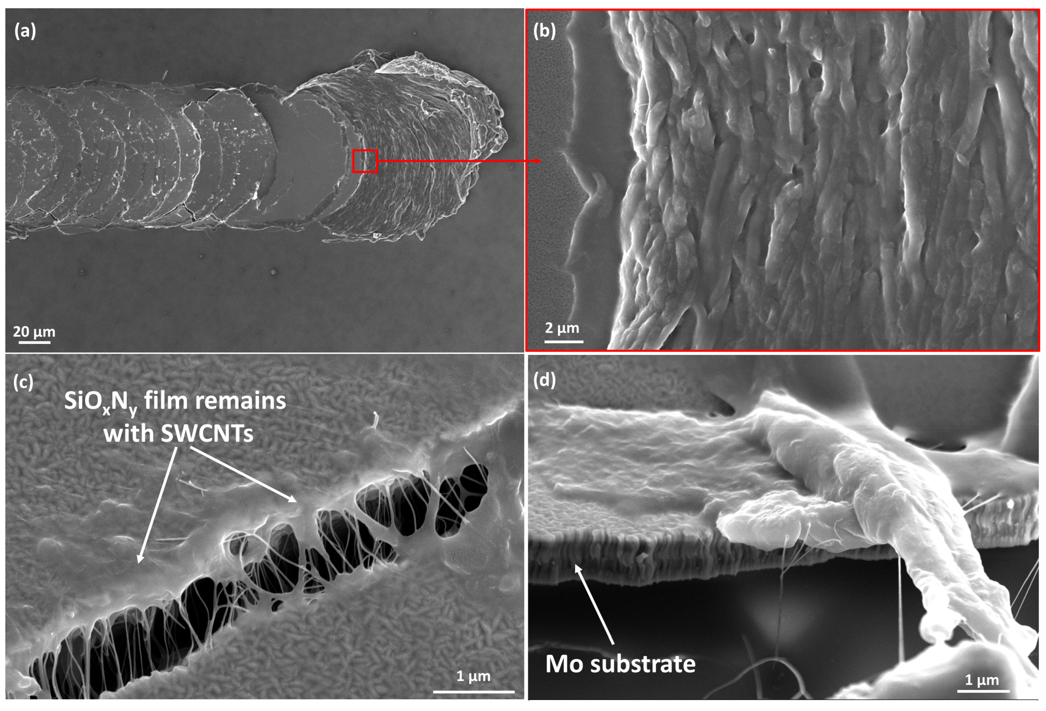 Nanomaterials 14 01806 g009