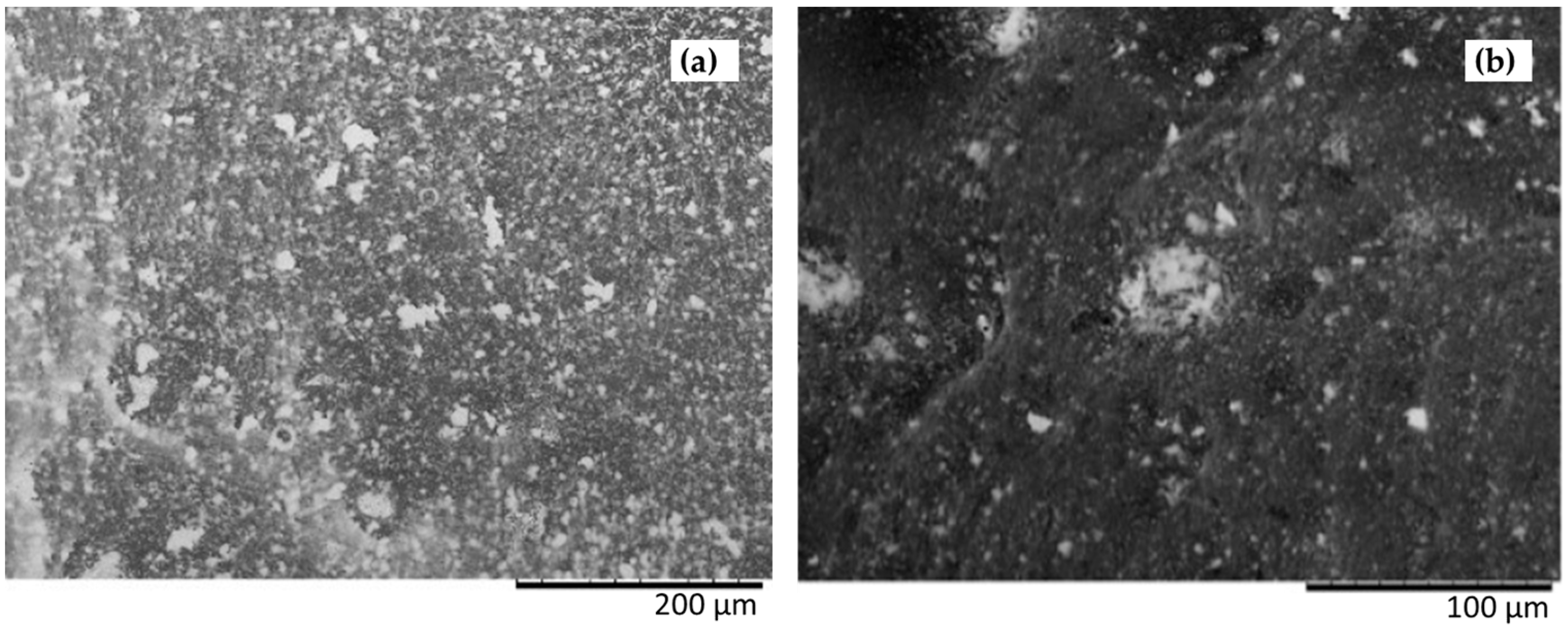 Nanomaterials 14 01808 g002