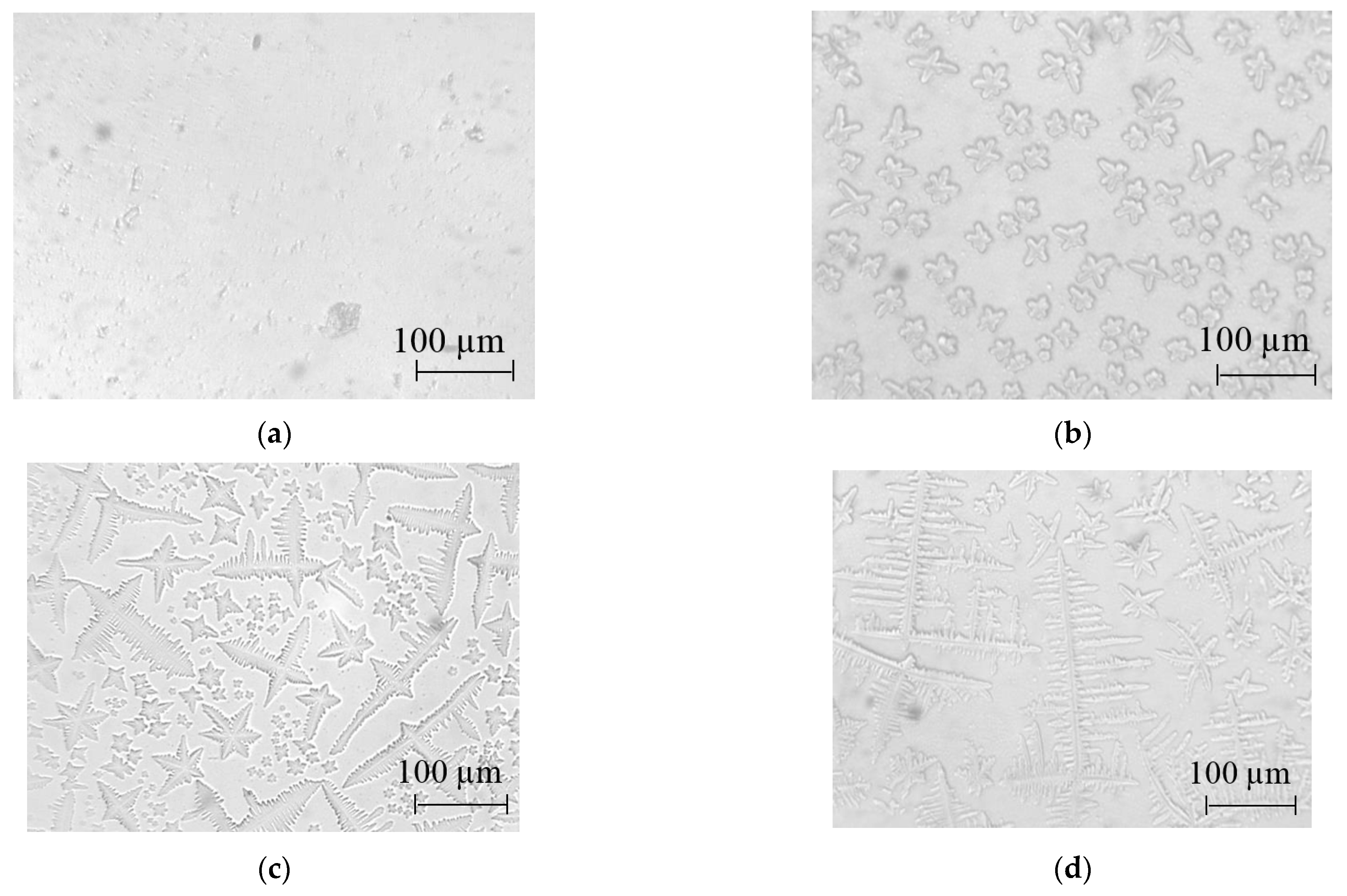Nanomaterials 14 01813 g001