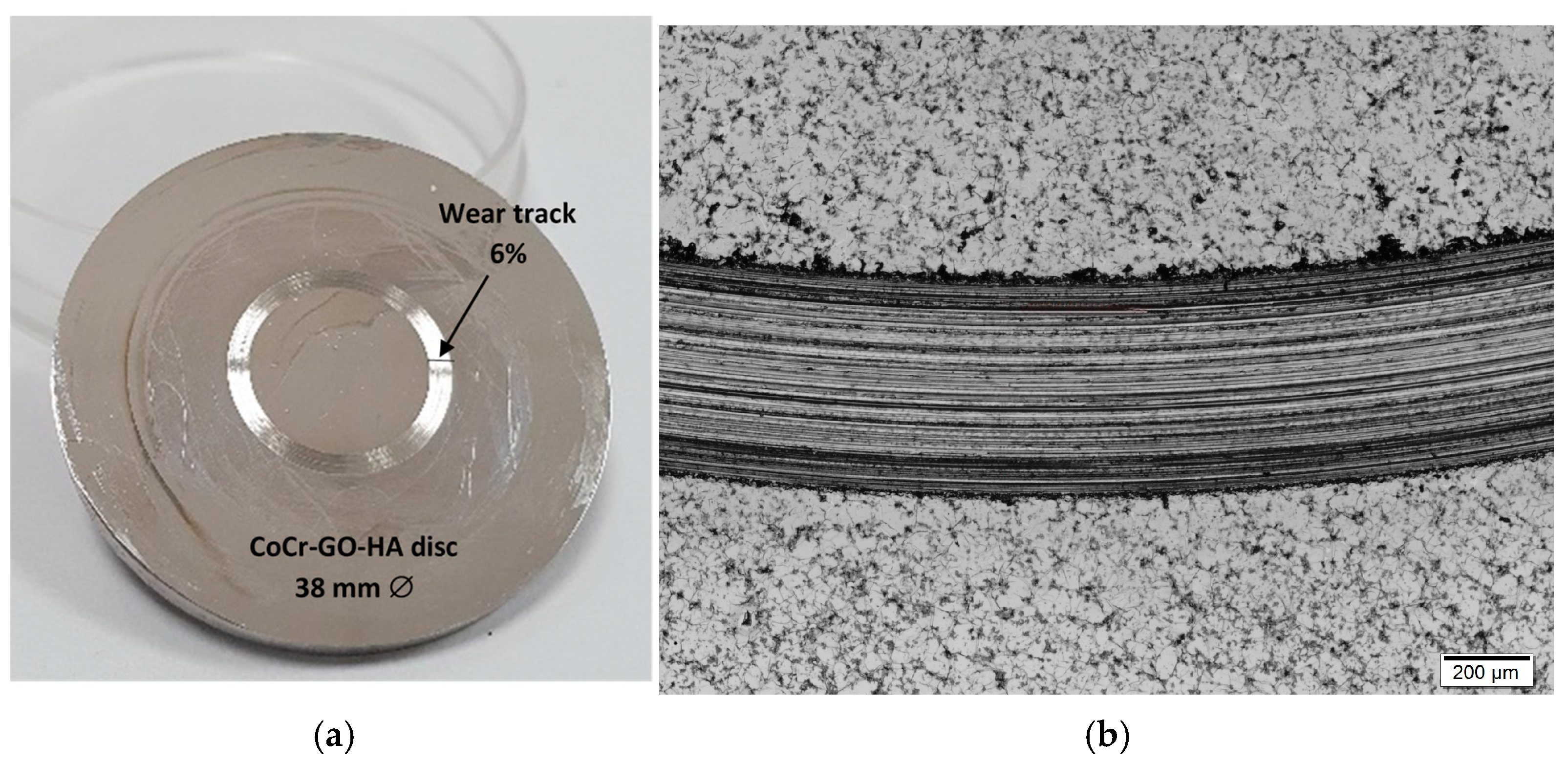 Nanomaterials 14 01815 g001