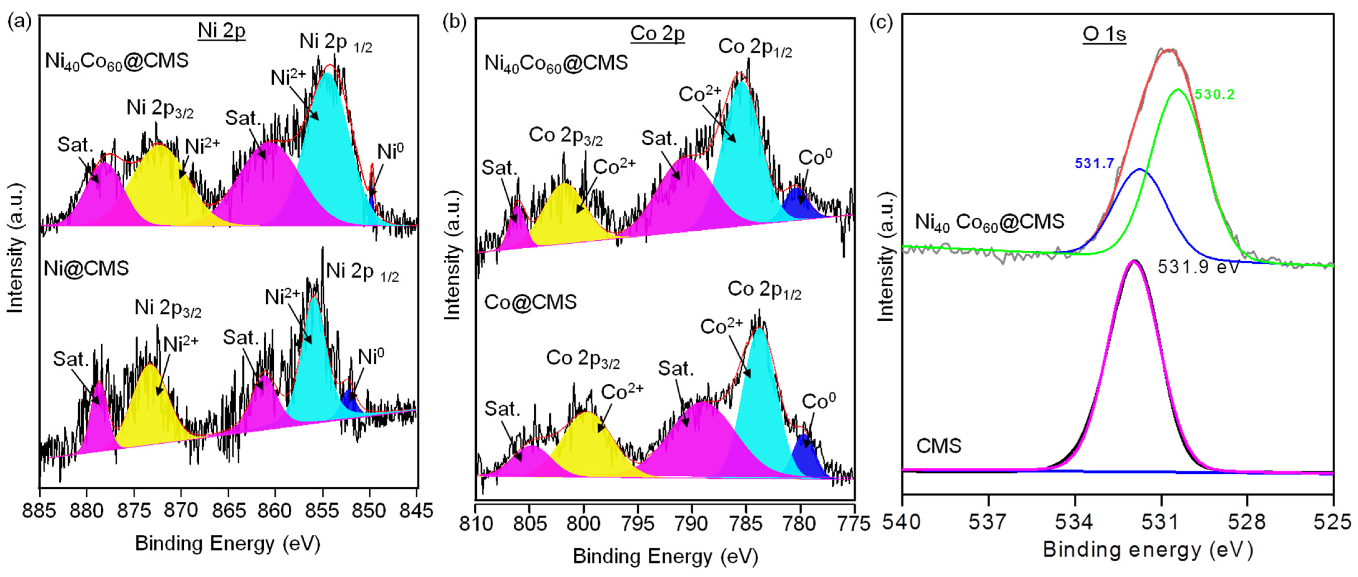 Nanomaterials 14 01818 g007