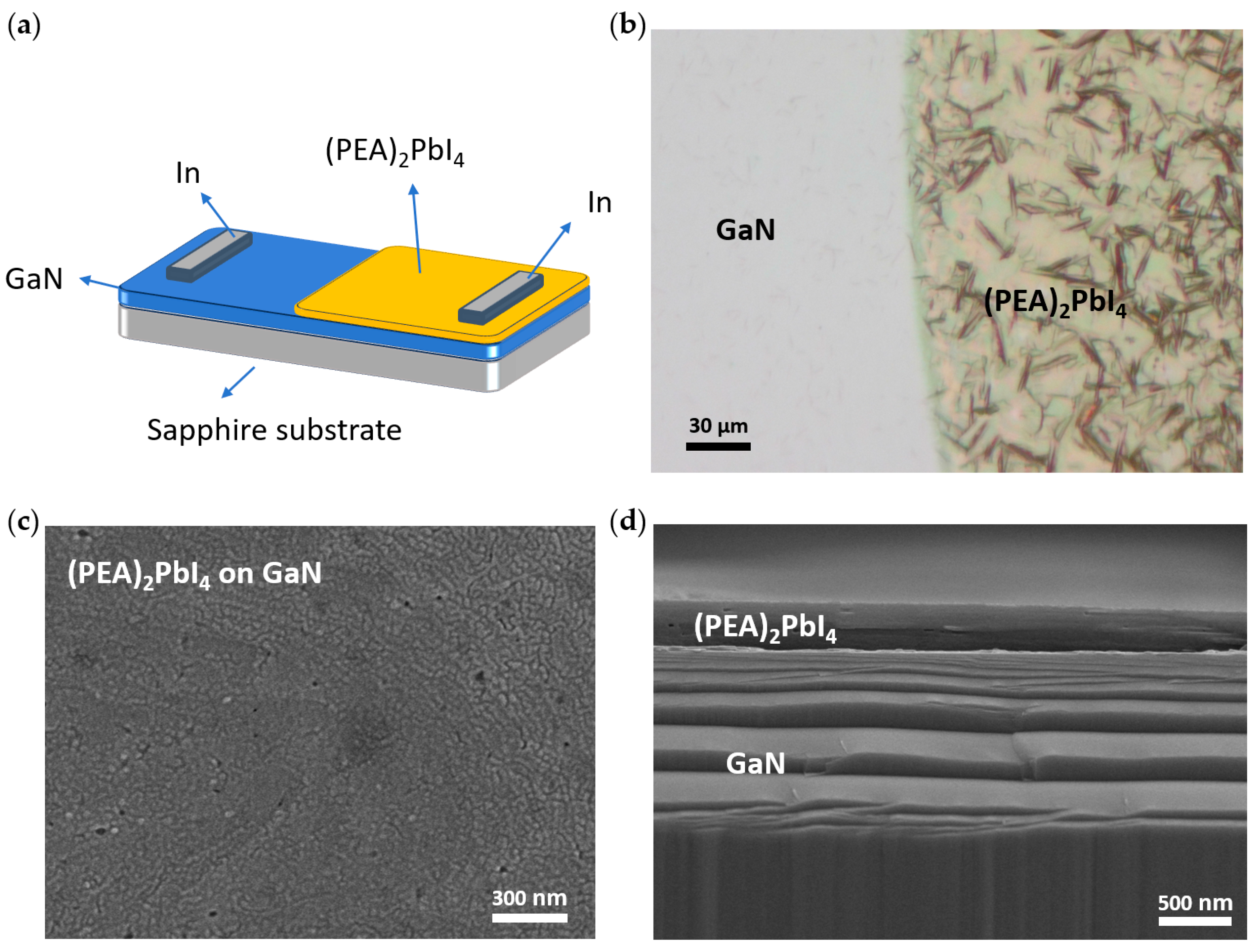 Nanomaterials 14 01819 g001