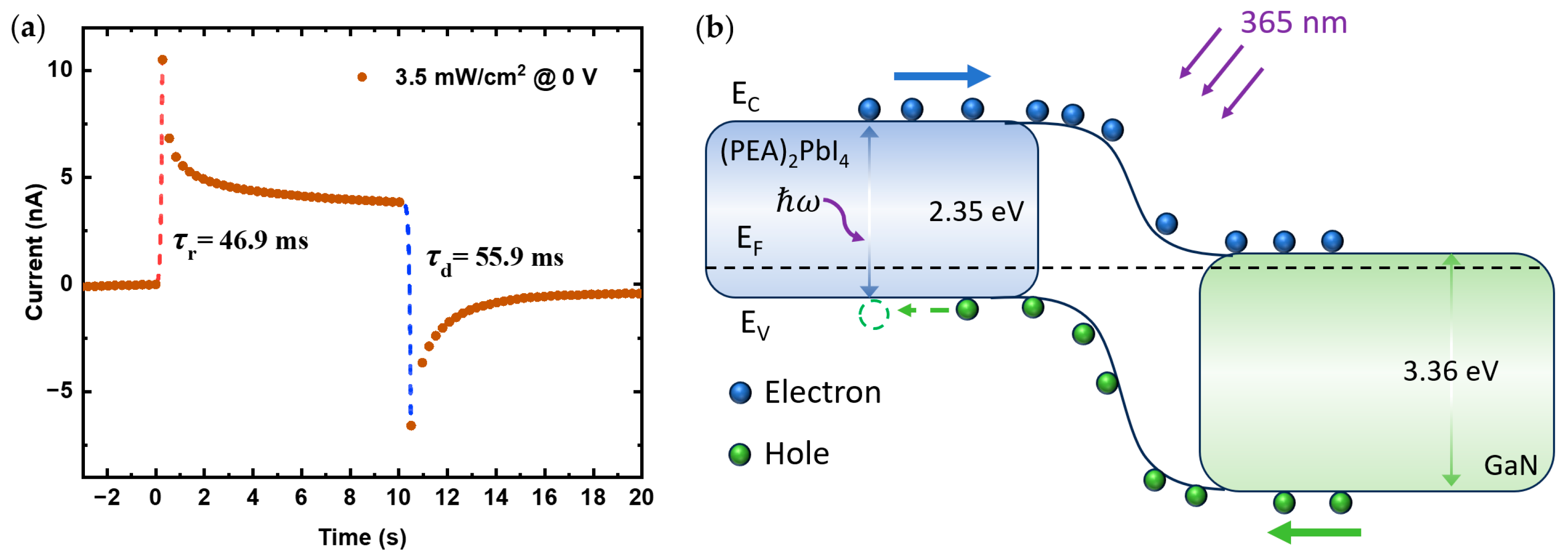 Nanomaterials 14 01819 g008