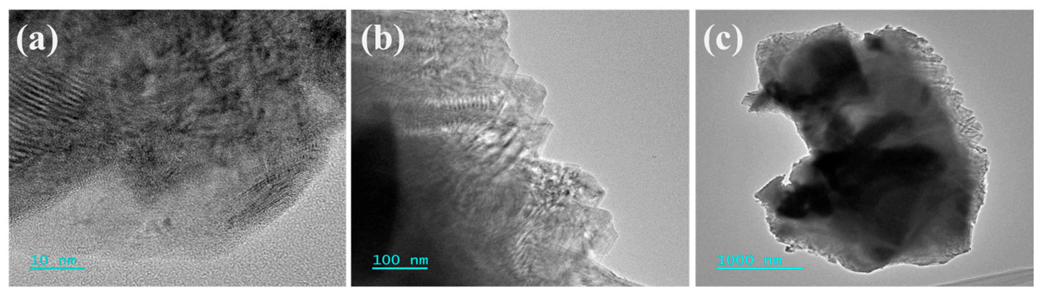 Nanomaterials 14 01823 g003