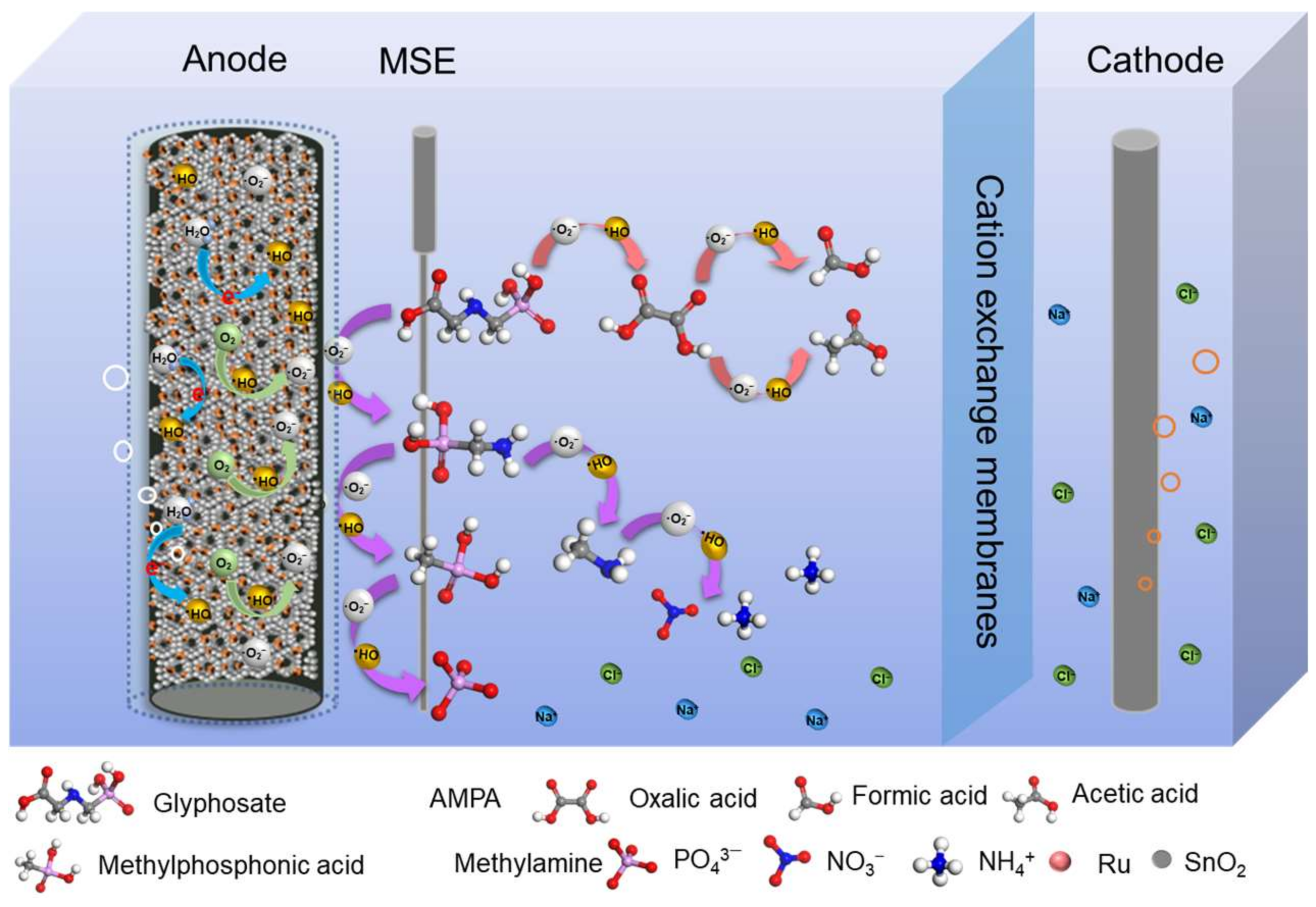 Nanomaterials 14 01824 g009