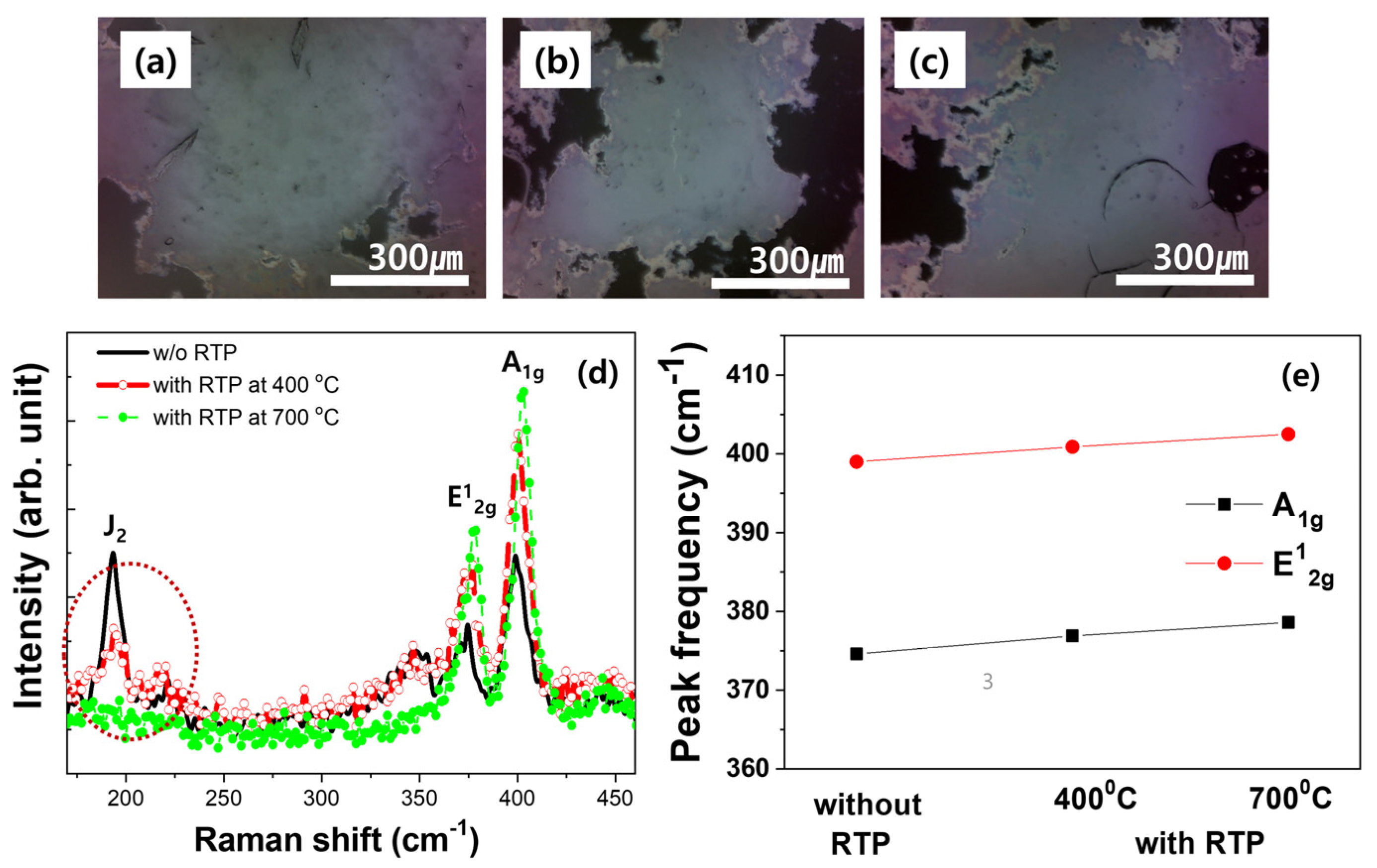 Nanomaterials 14 01826 g002