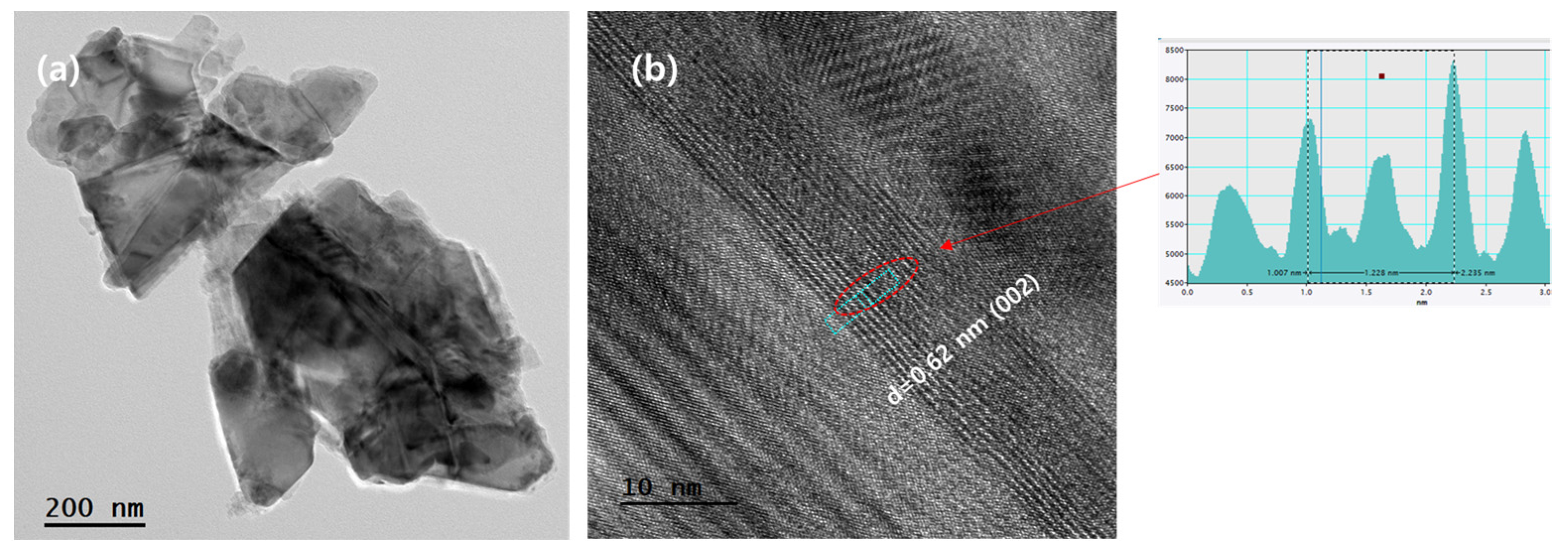 Nanomaterials 14 01826 g004