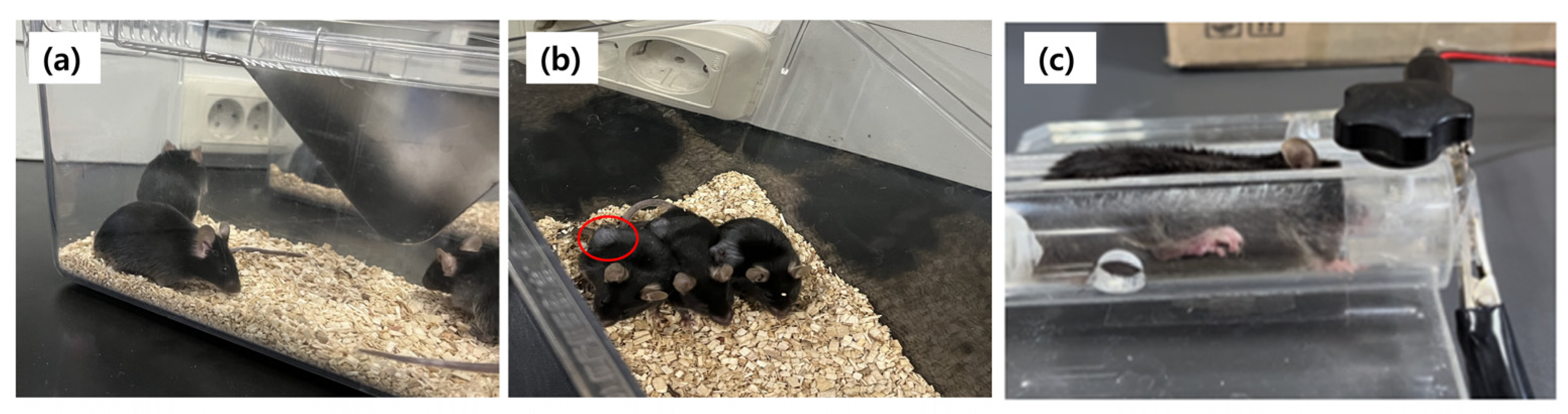 Nanomaterials 14 01826 g008