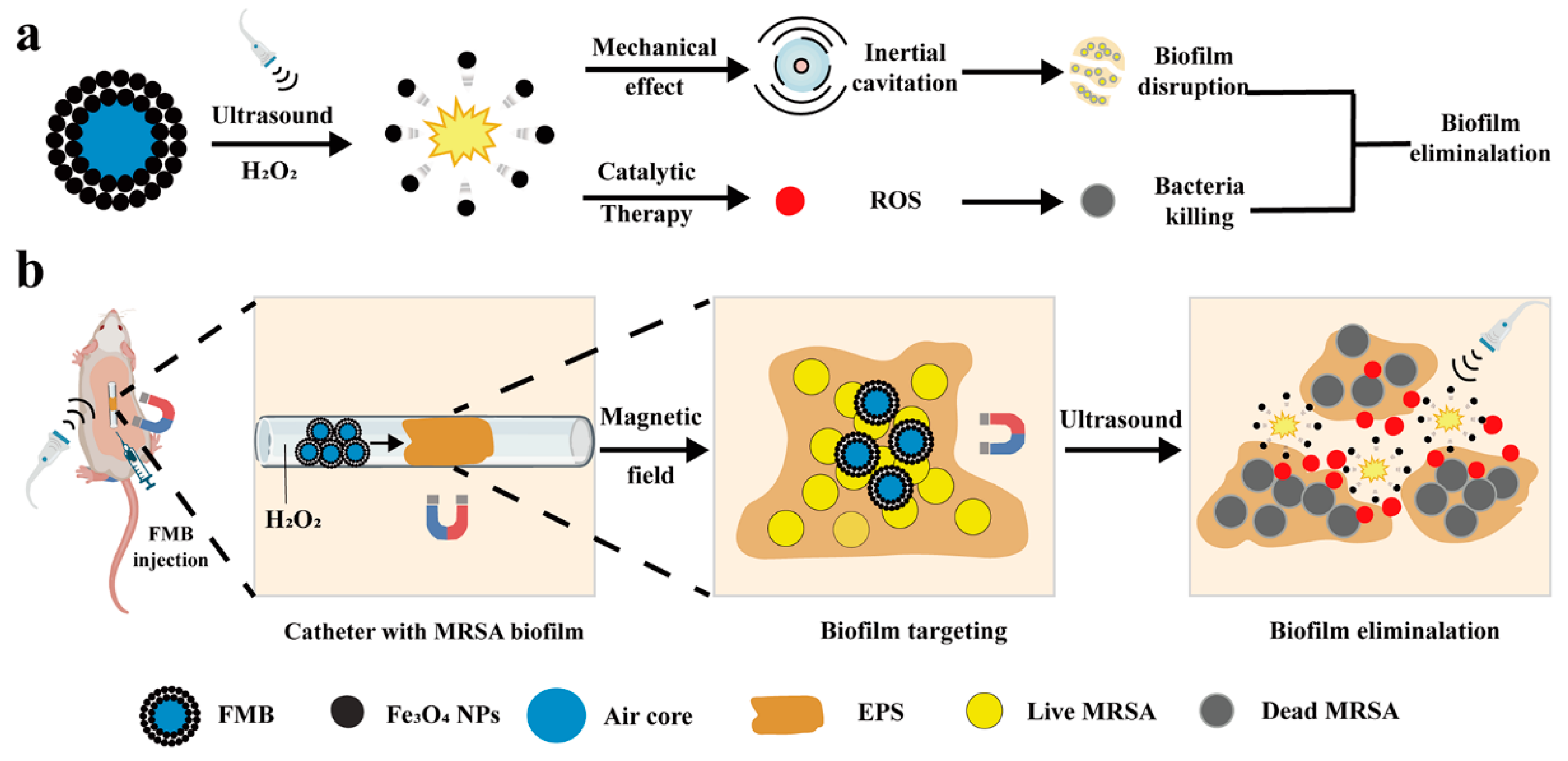 Nanomaterials 14 01830 g001