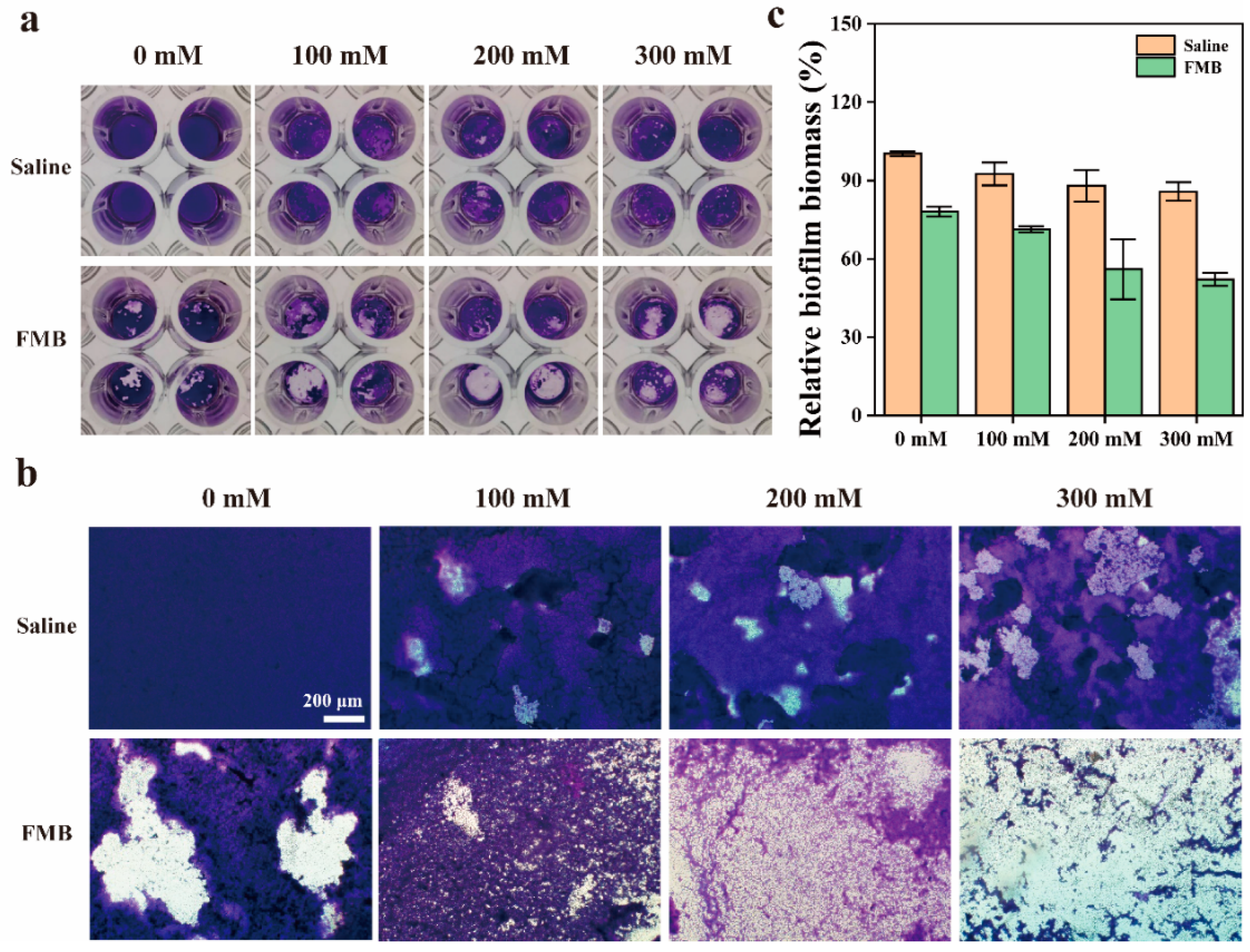 Nanomaterials 14 01830 g006