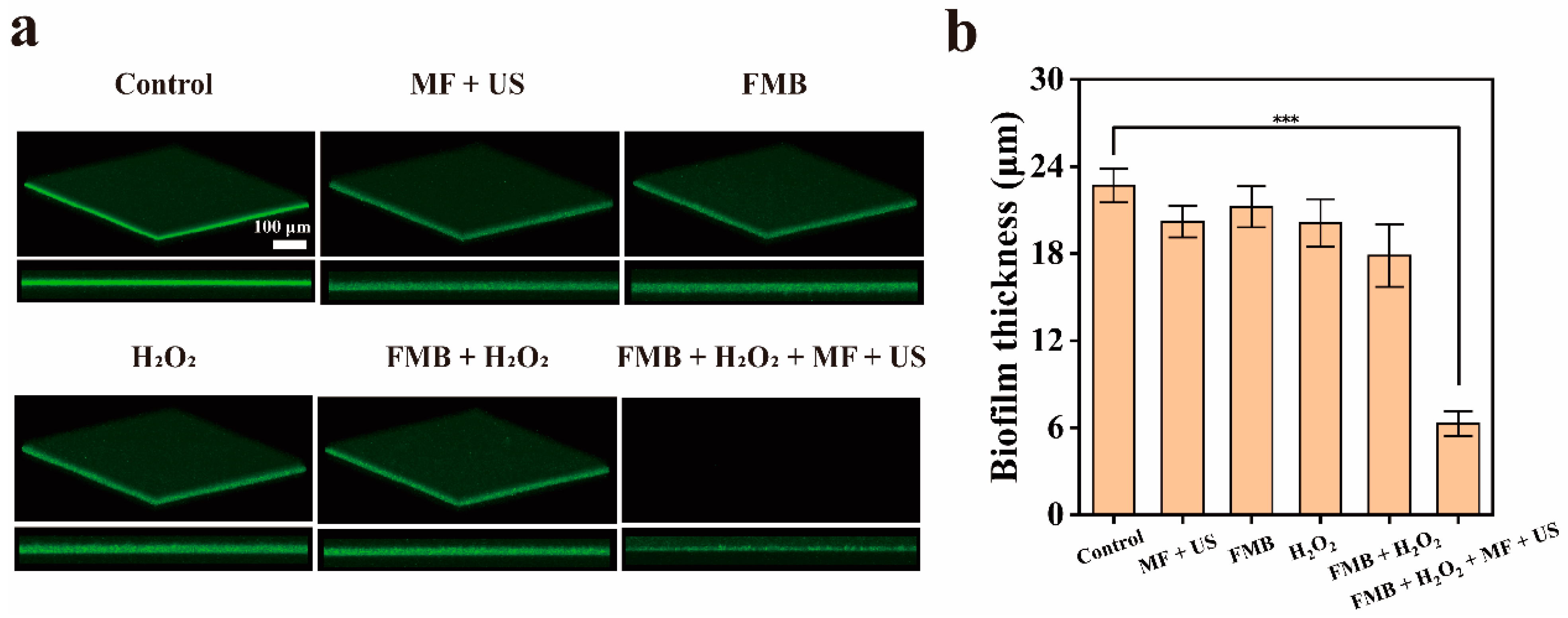 Nanomaterials 14 01830 g007