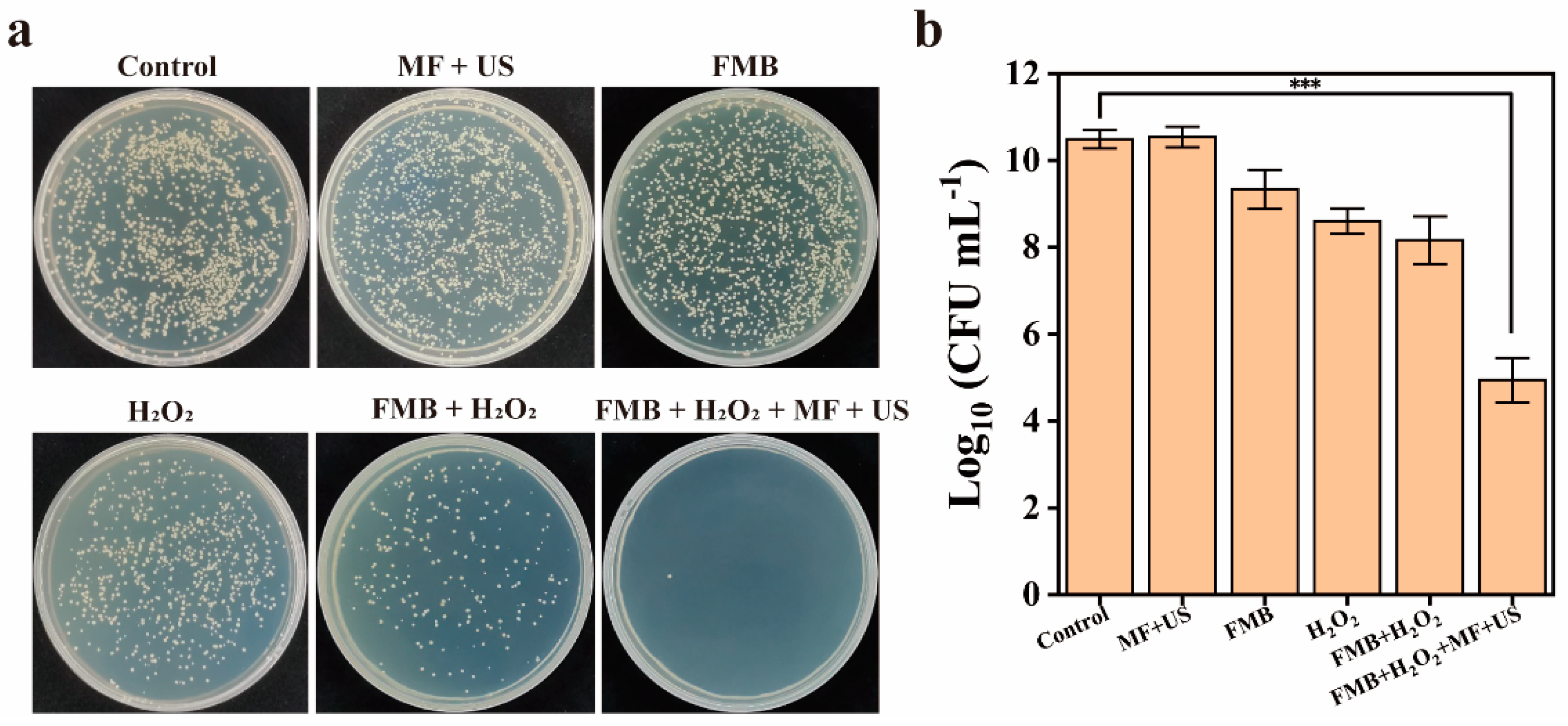 Nanomaterials 14 01830 g008