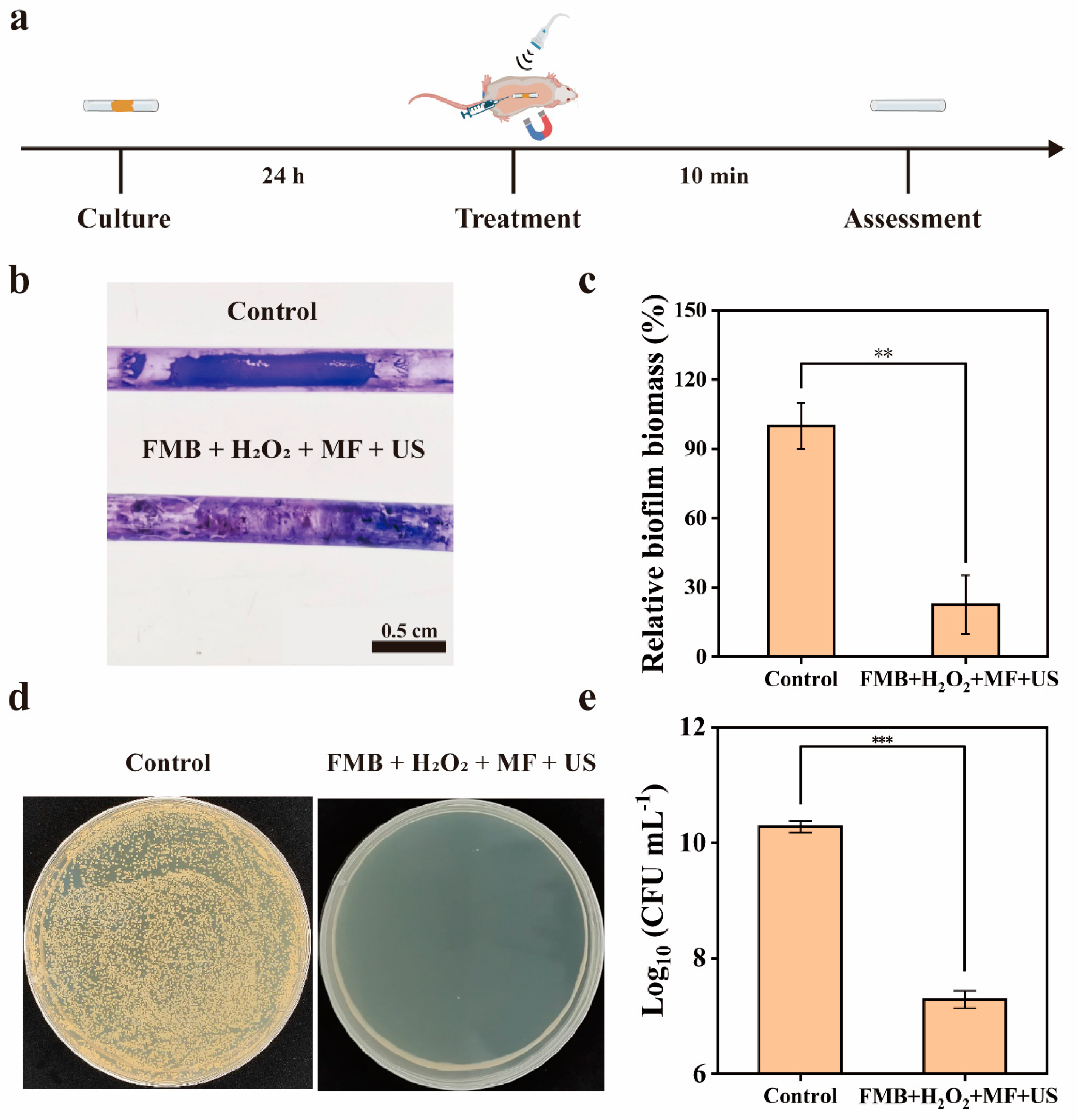 Nanomaterials 14 01830 g009
