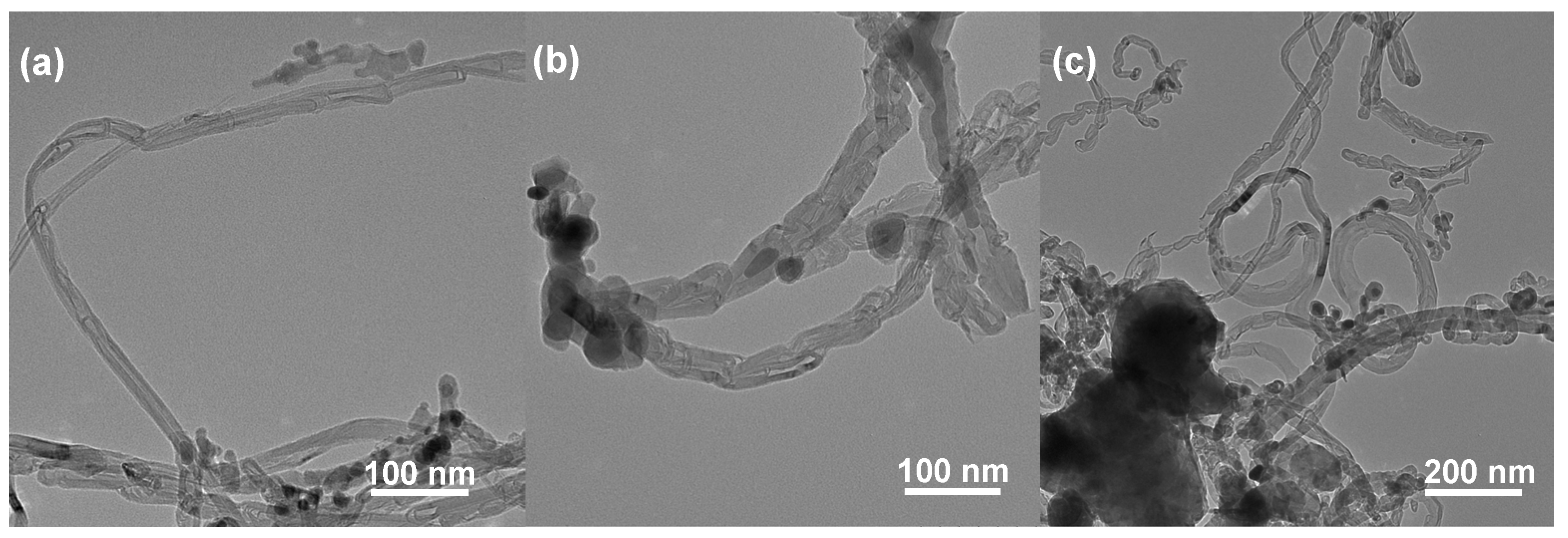 Nanomaterials 14 01831 g007
