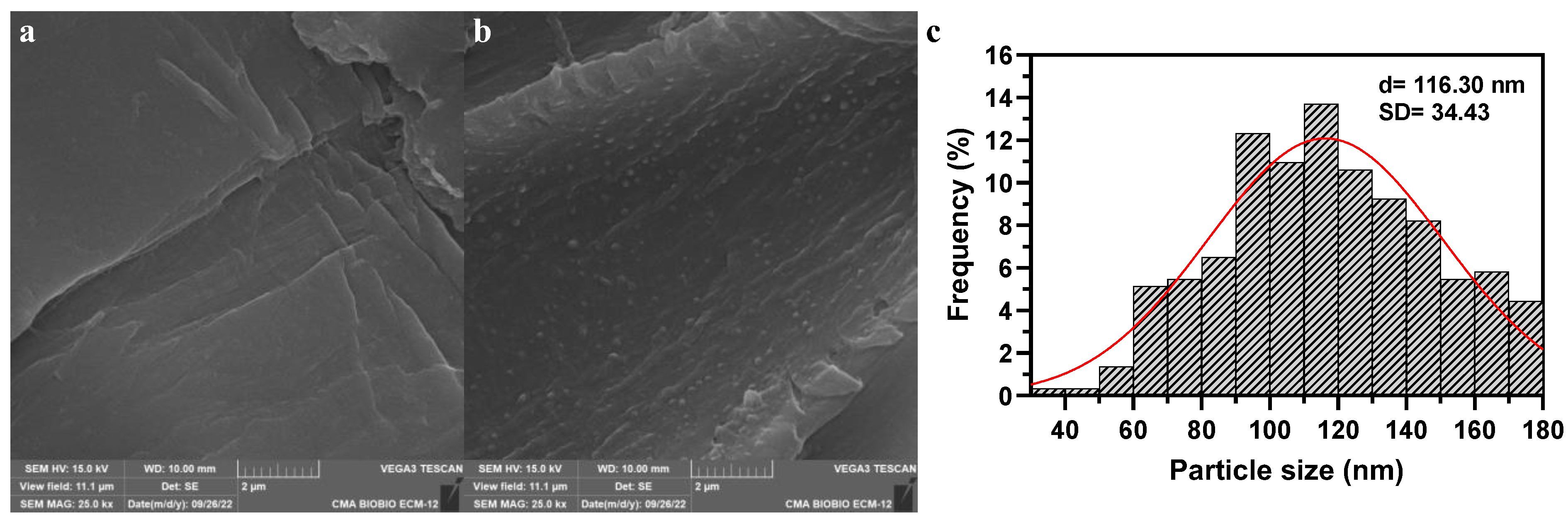 Nanomaterials 14 01832 g002 Nanomaterials 14 01832 g002