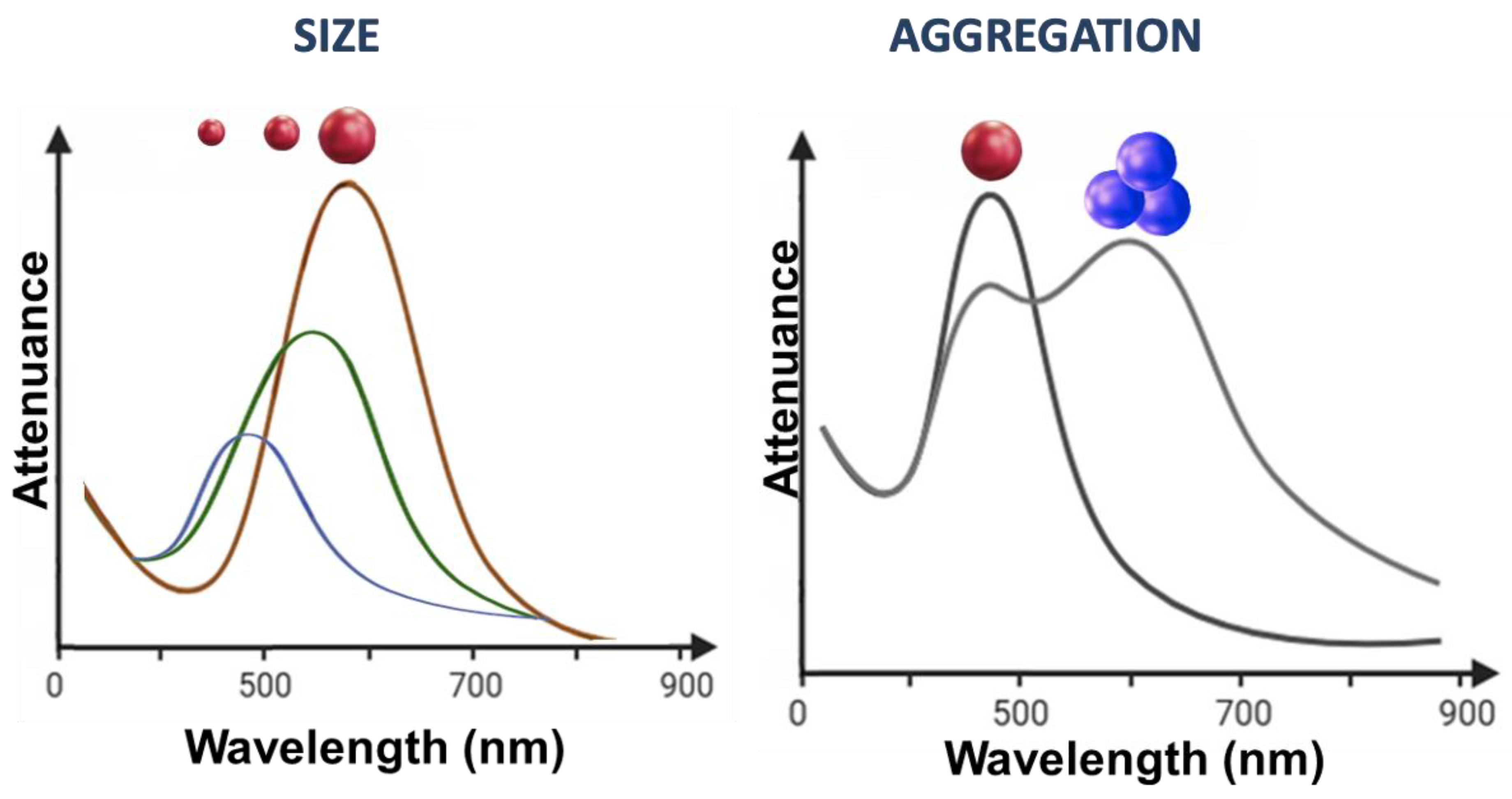 Nanomaterials 14 01833 g002