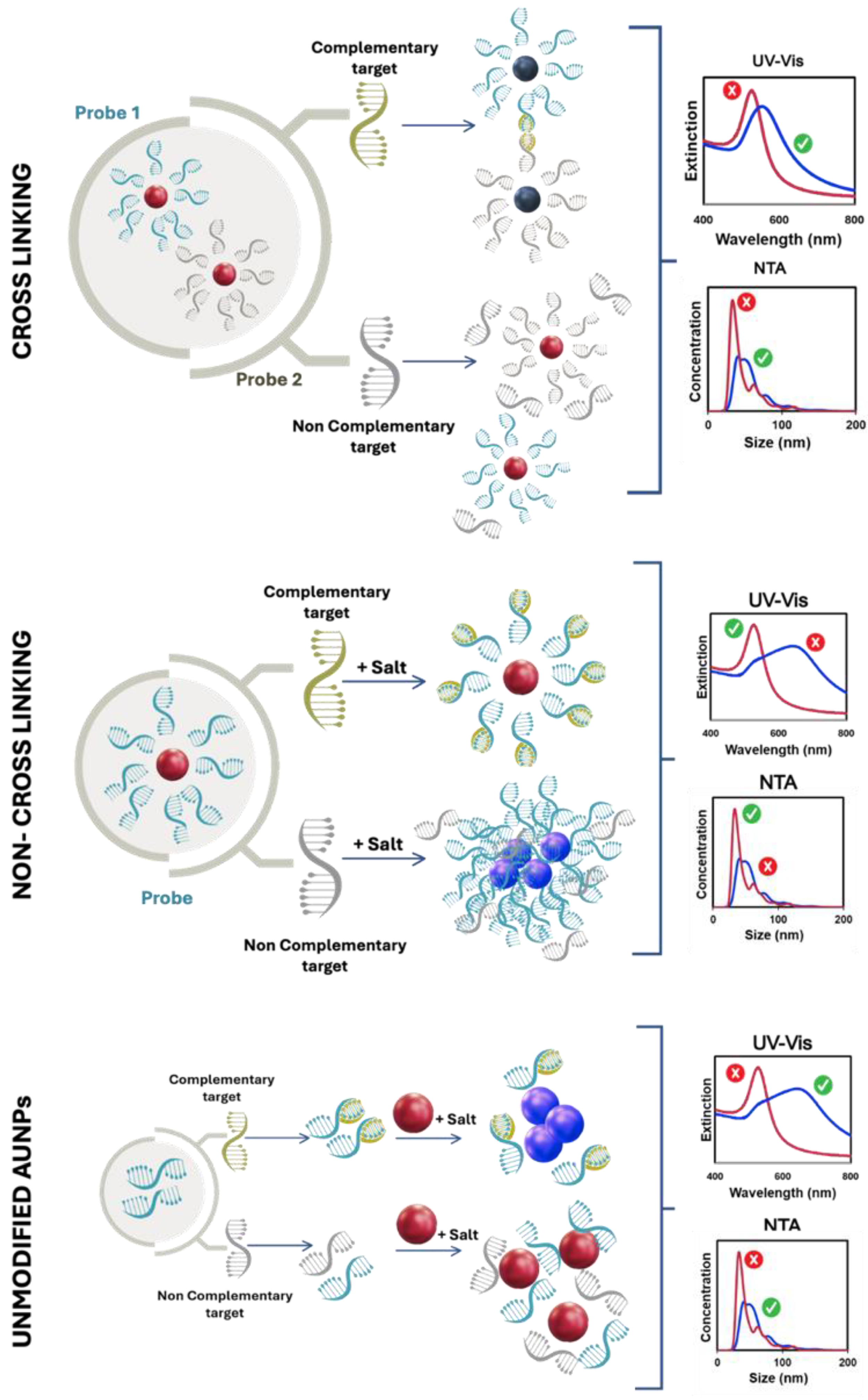 Nanomaterials 14 01833 g003
