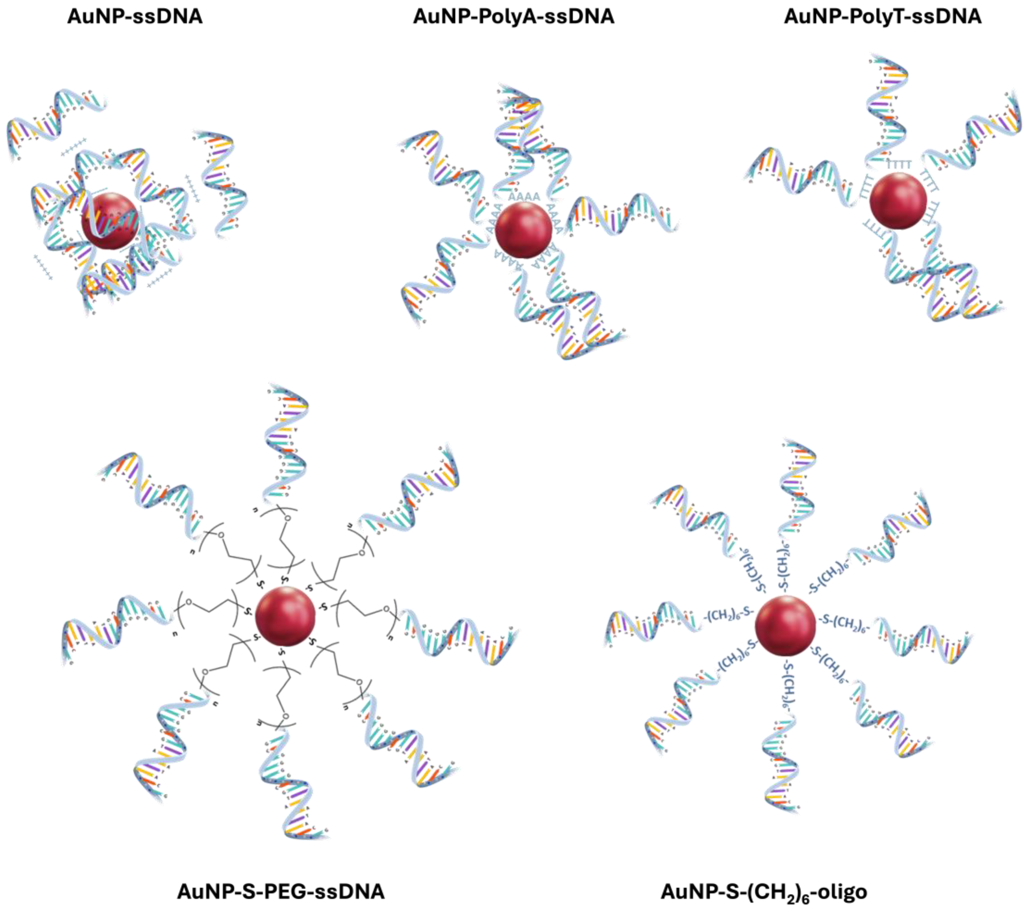Nanomaterials 14 01833 g005