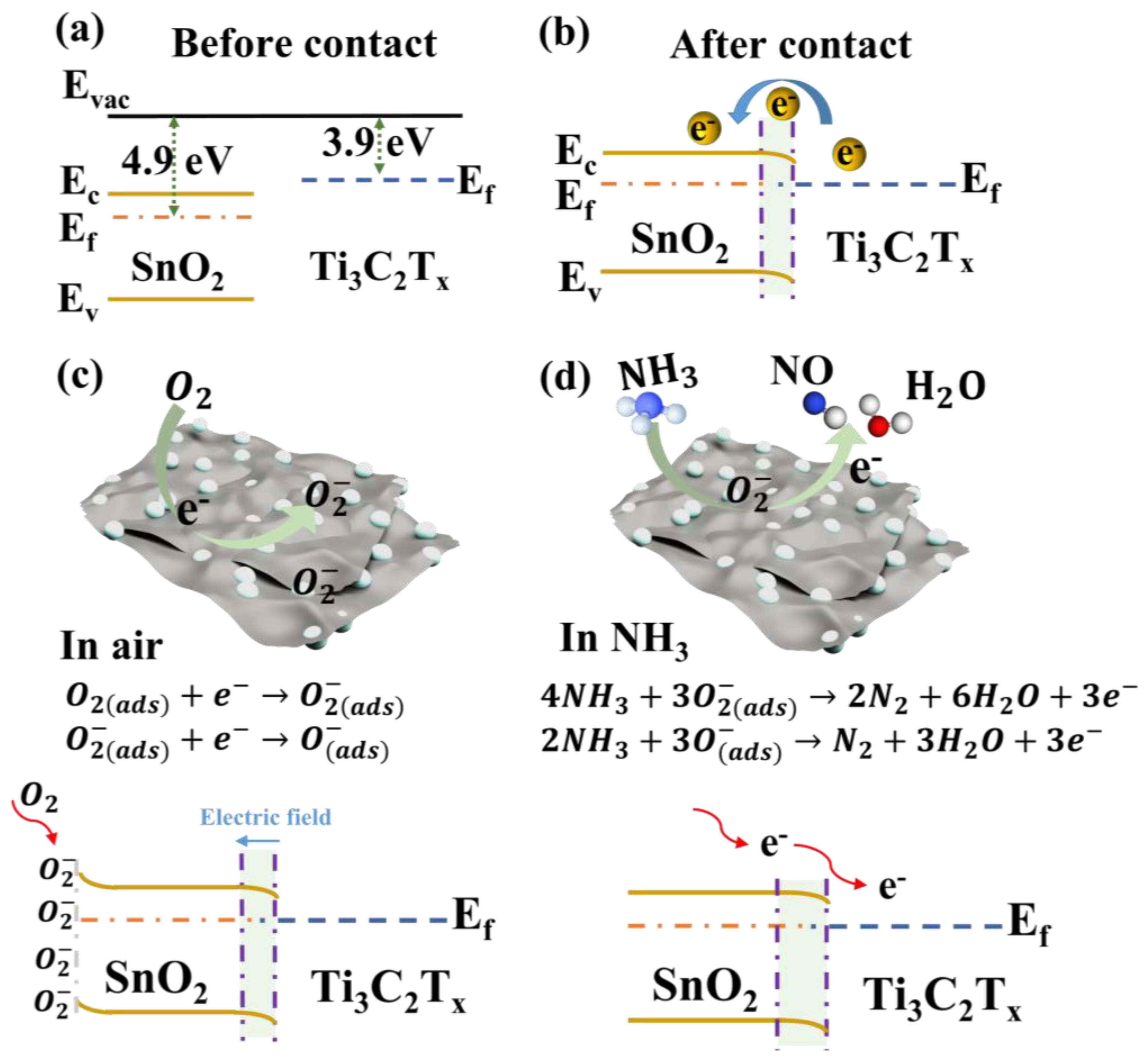 Nanomaterials 14 01835 g008