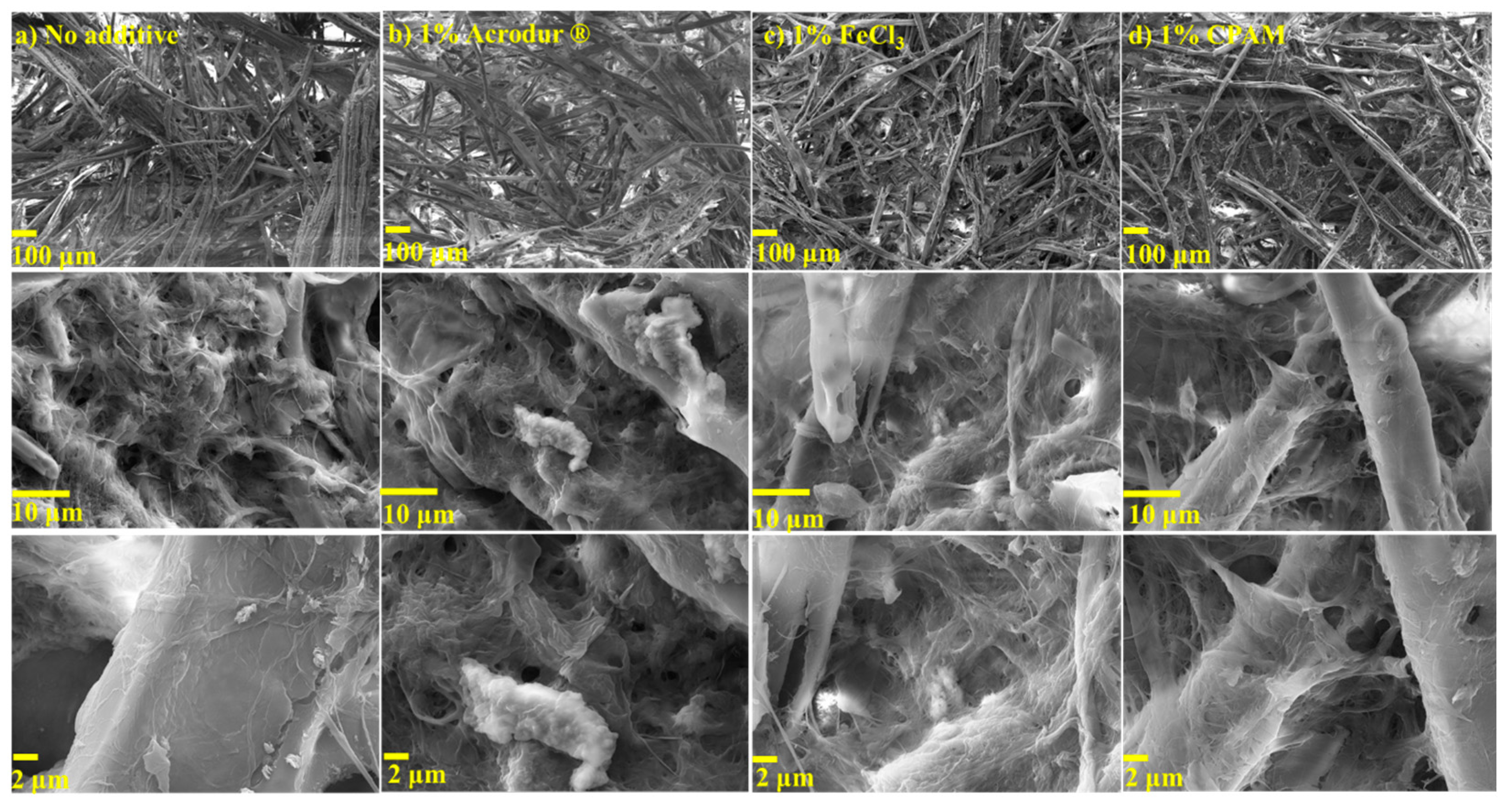 Nanomaterials 14 01837 g006