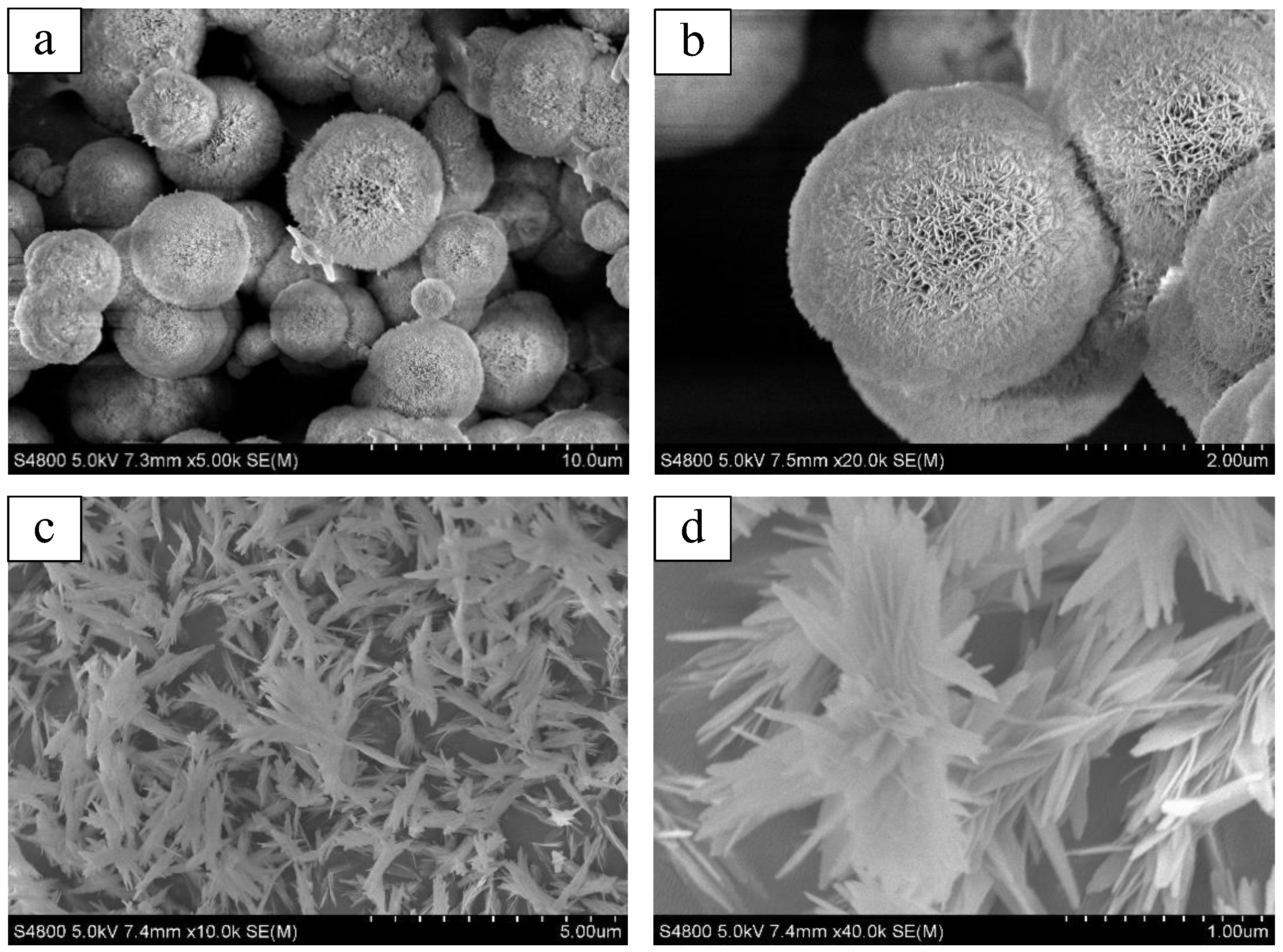 Nanomaterials 14 01838 g005