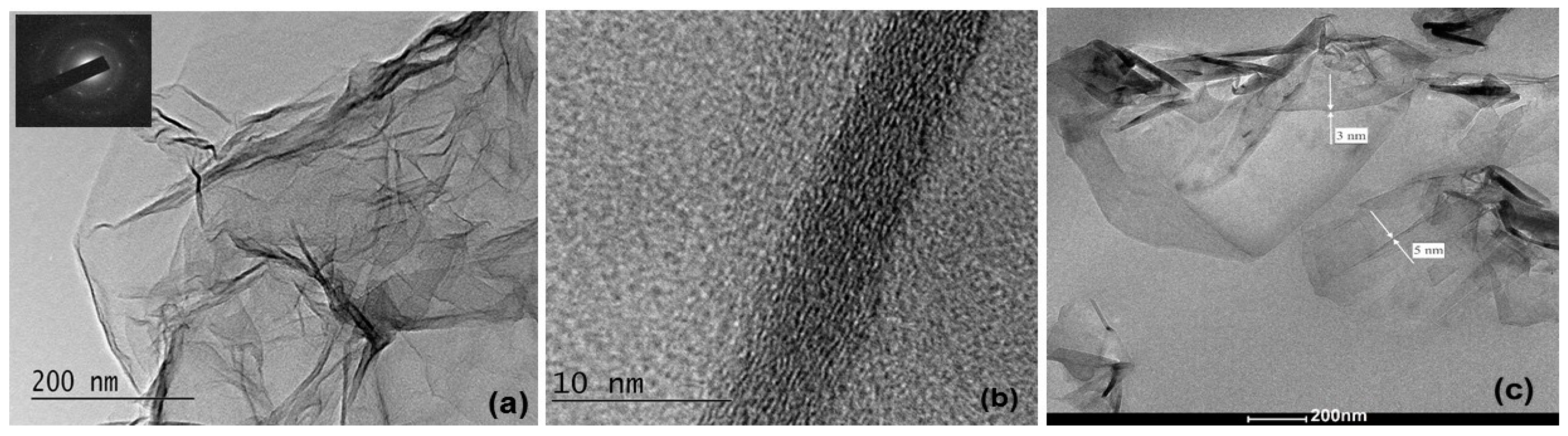 Nanomaterials 14 01840 g001