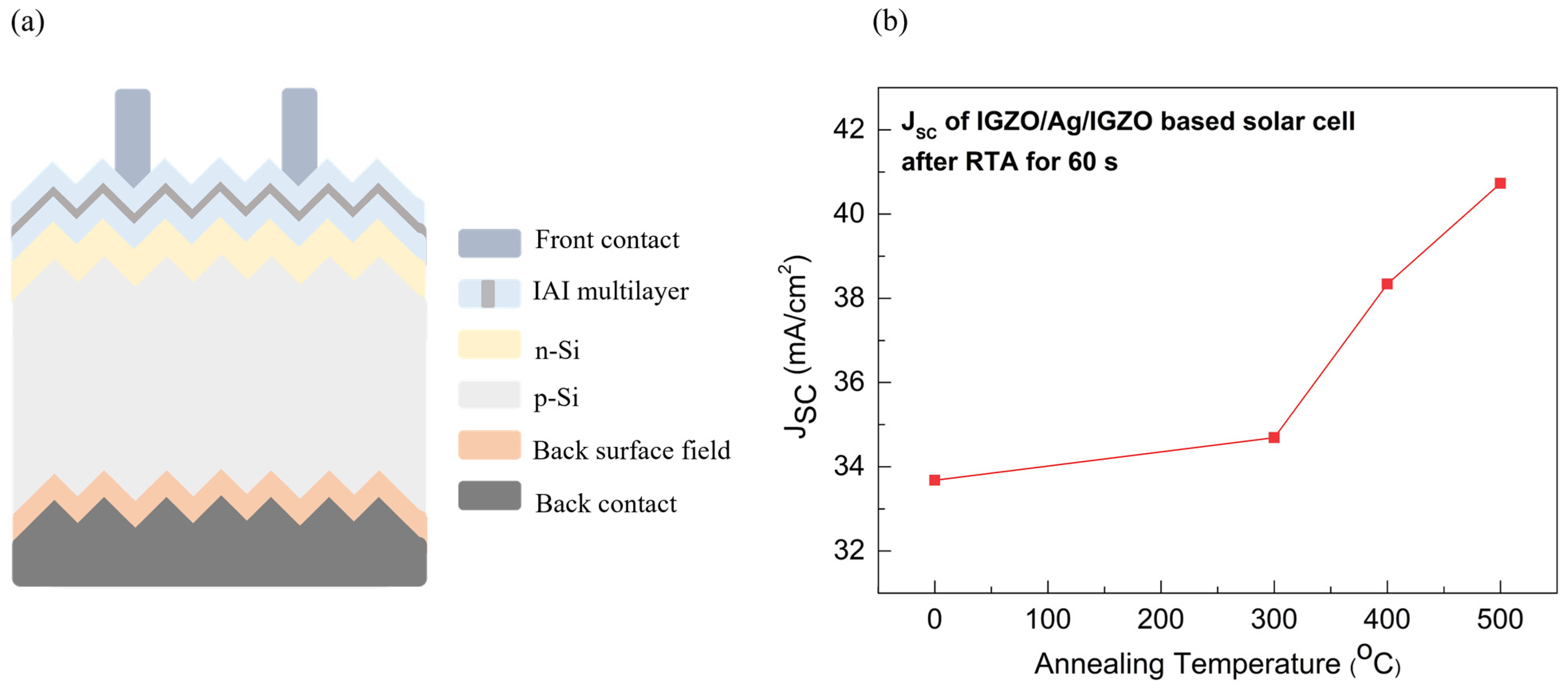 Nanomaterials 14 01841 g006