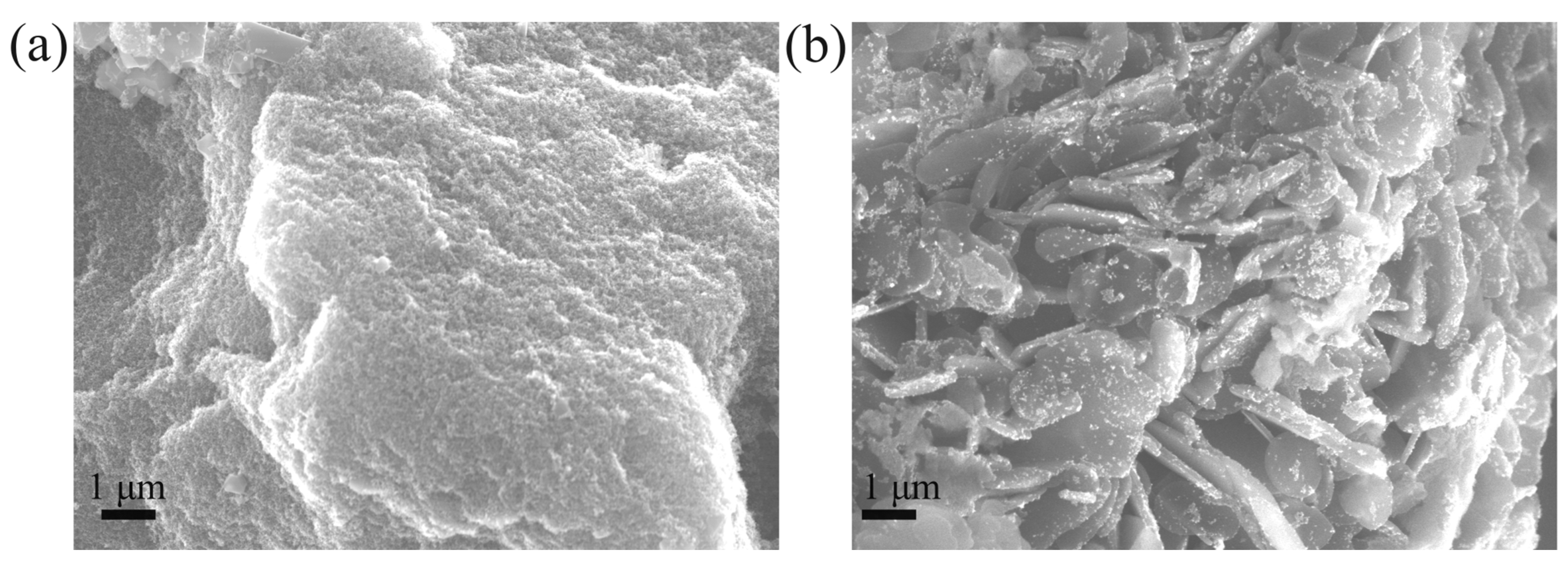 Nanomaterials 14 01843 g002