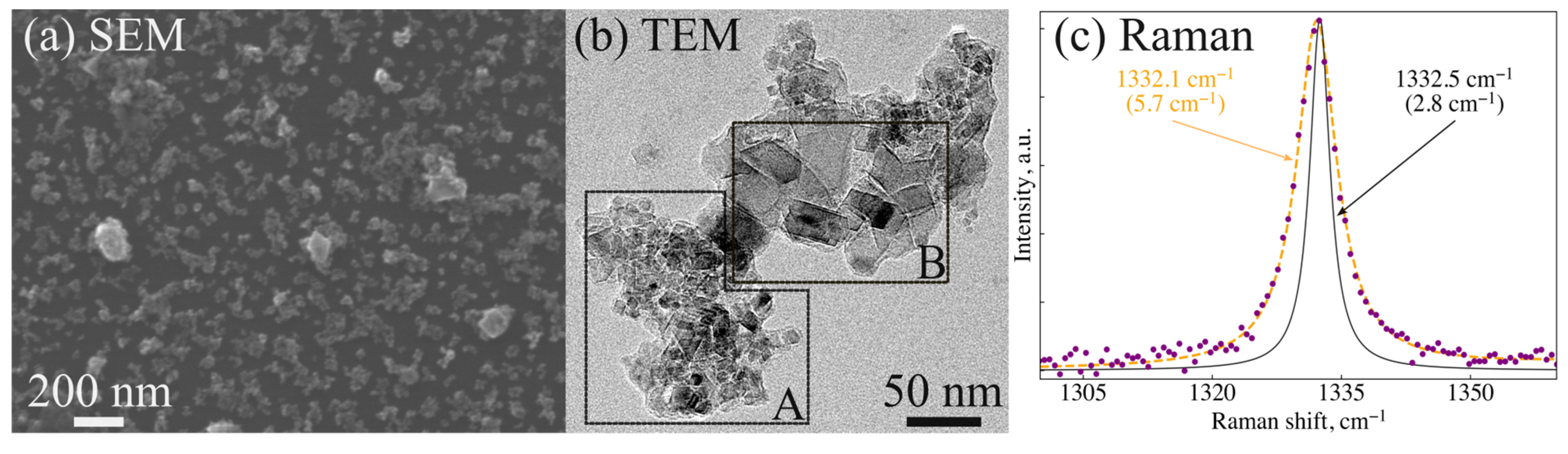 Nanomaterials 14 01843 g004