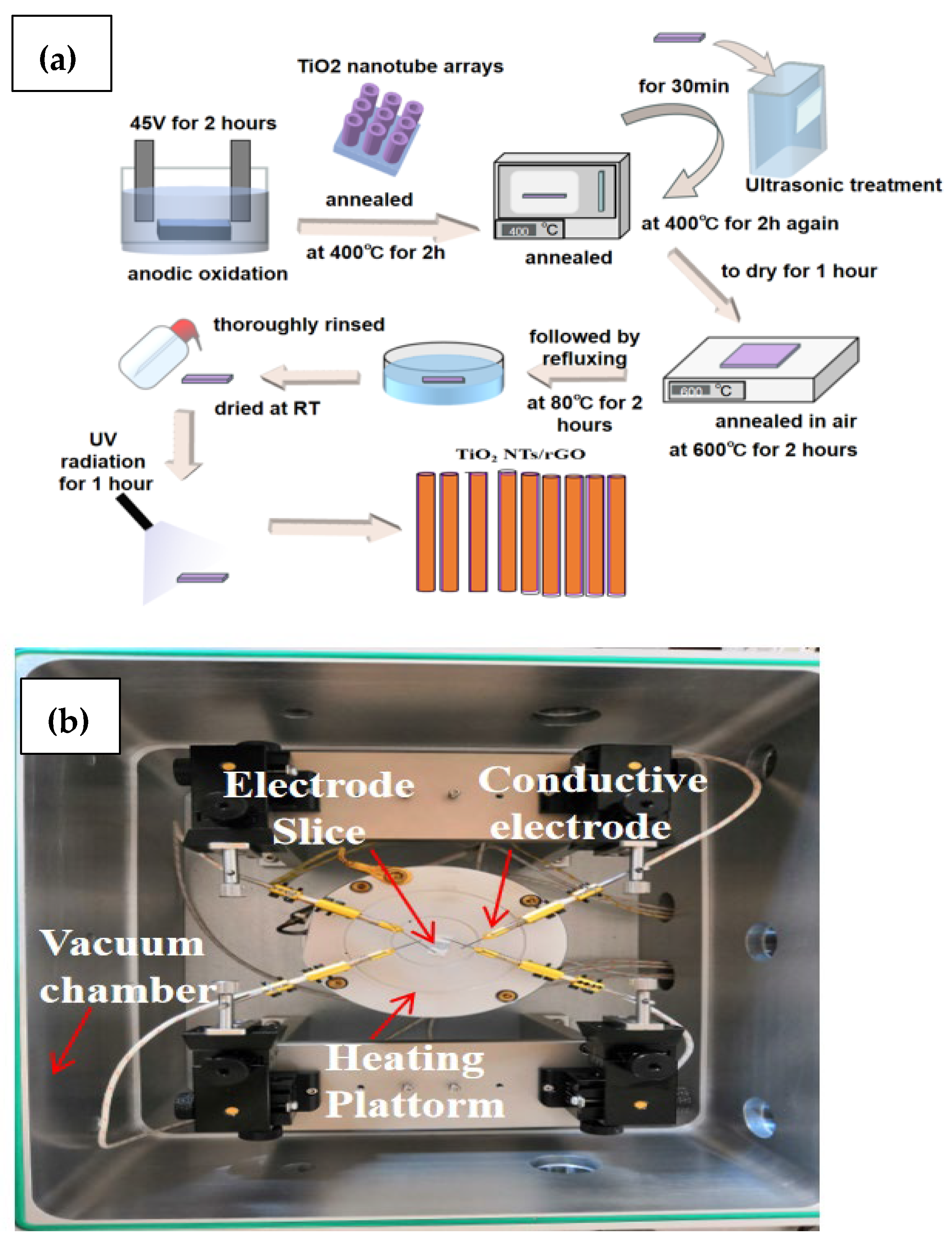 Nanomaterials 14 01844 g001
