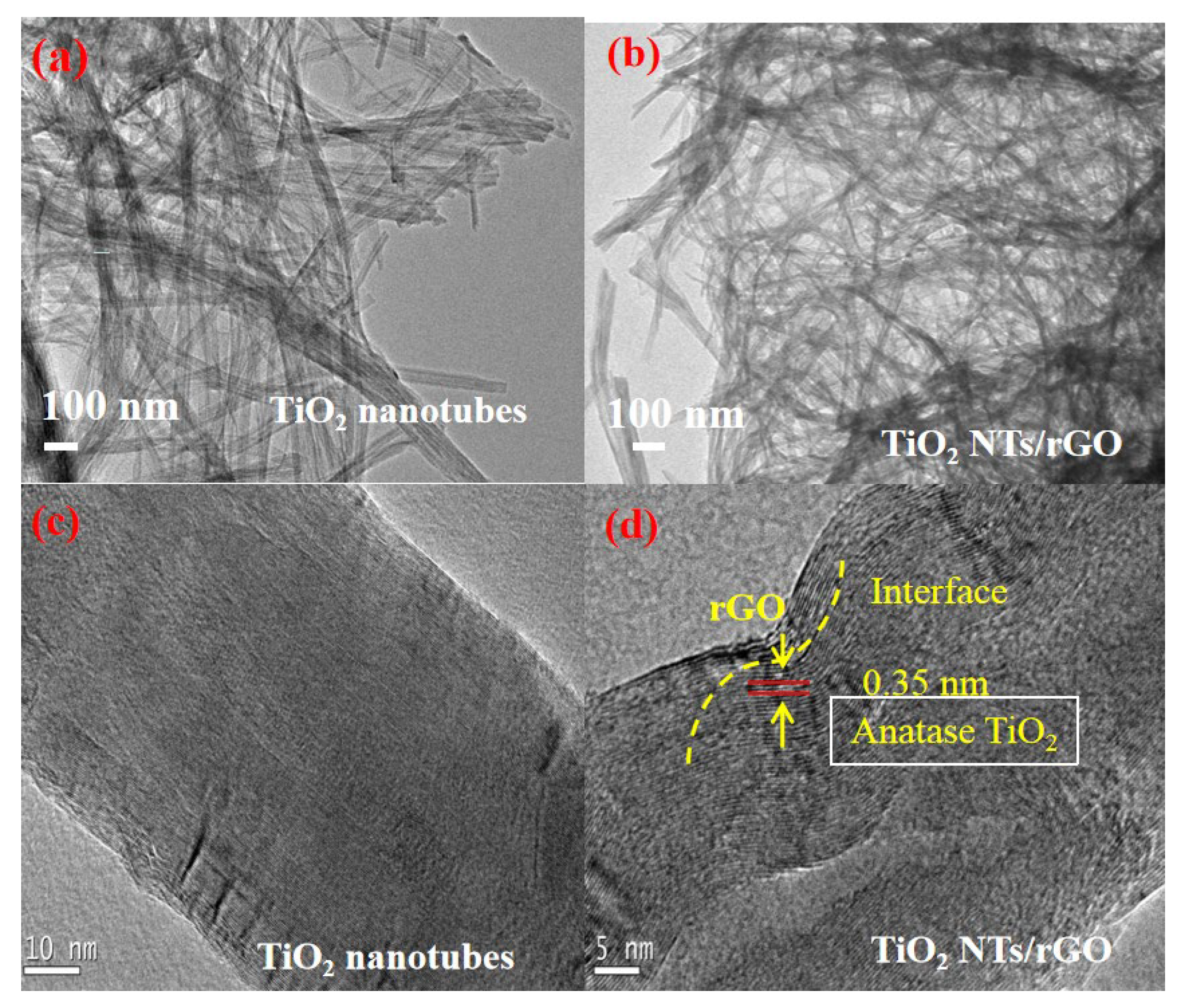 Nanomaterials 14 01844 g004