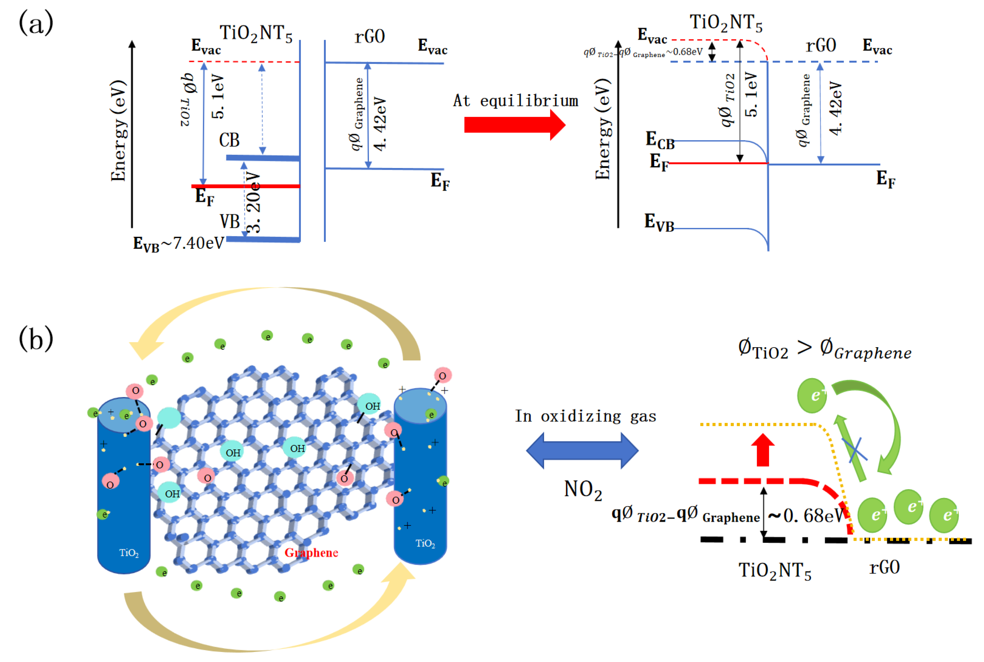 Nanomaterials 14 01844 g012