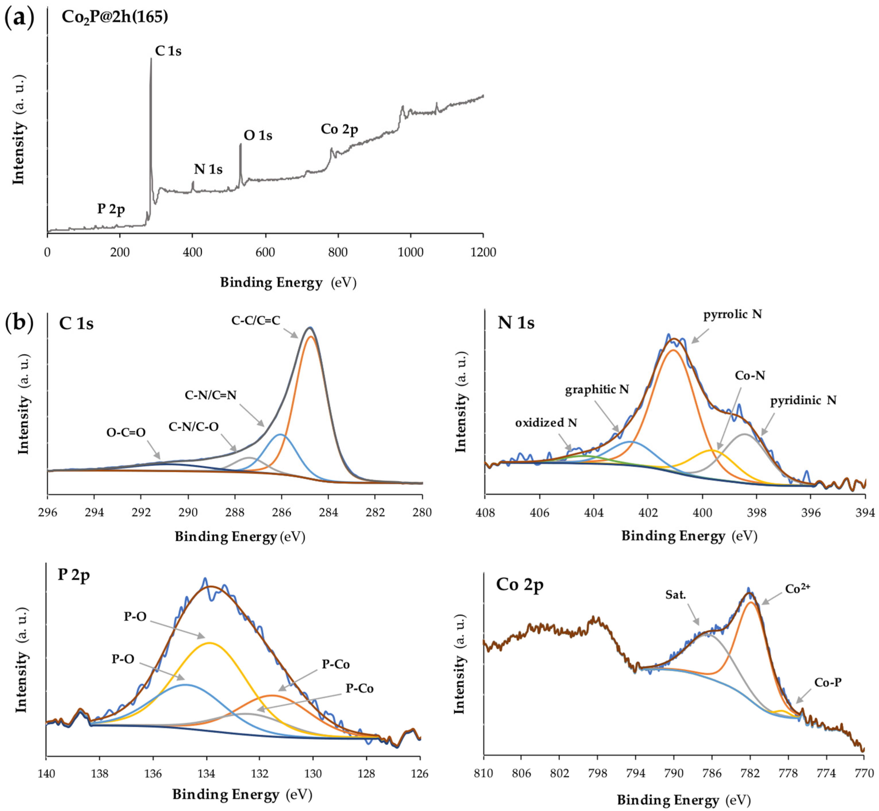 Nanomaterials 14 01849 g003