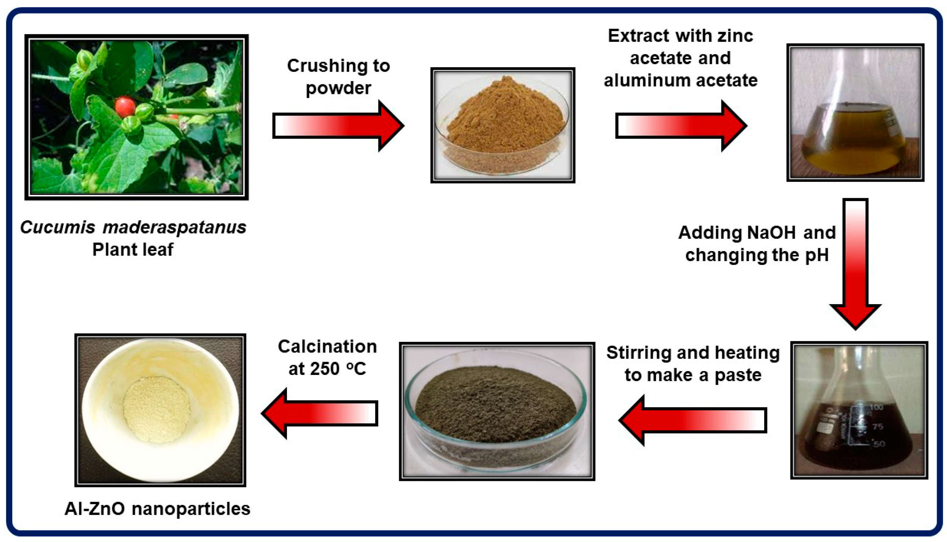 Nanomaterials 14 01851 g001