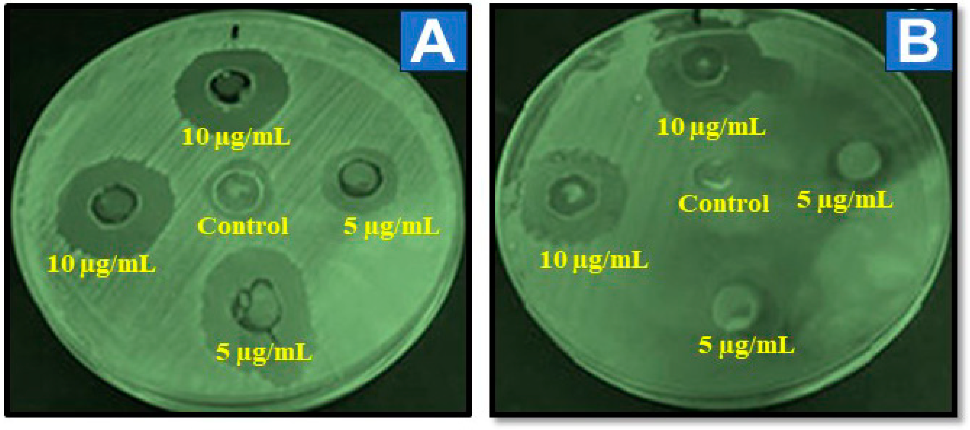 Nanomaterials 14 01851 g008