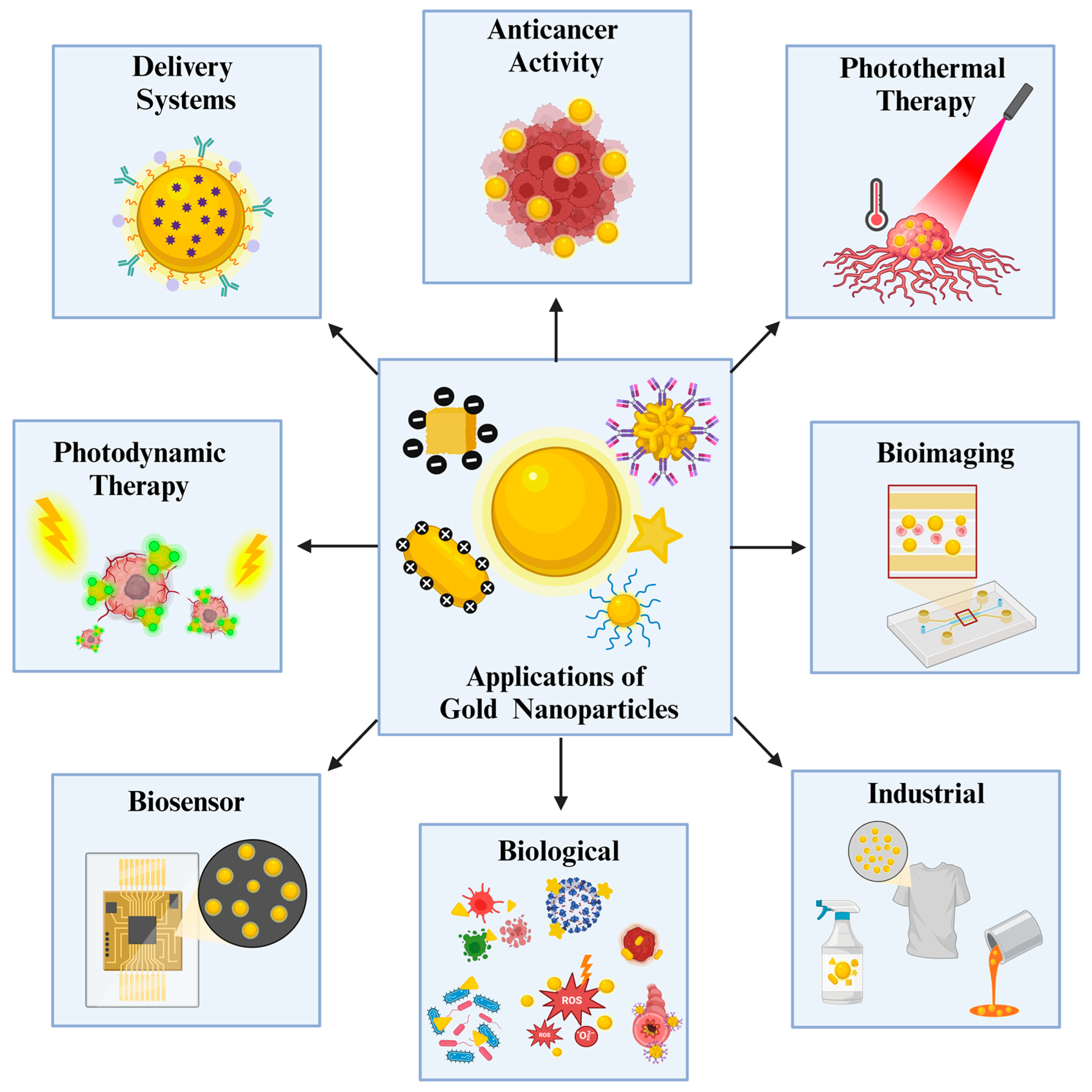 Nanomaterials 14 01854 g001