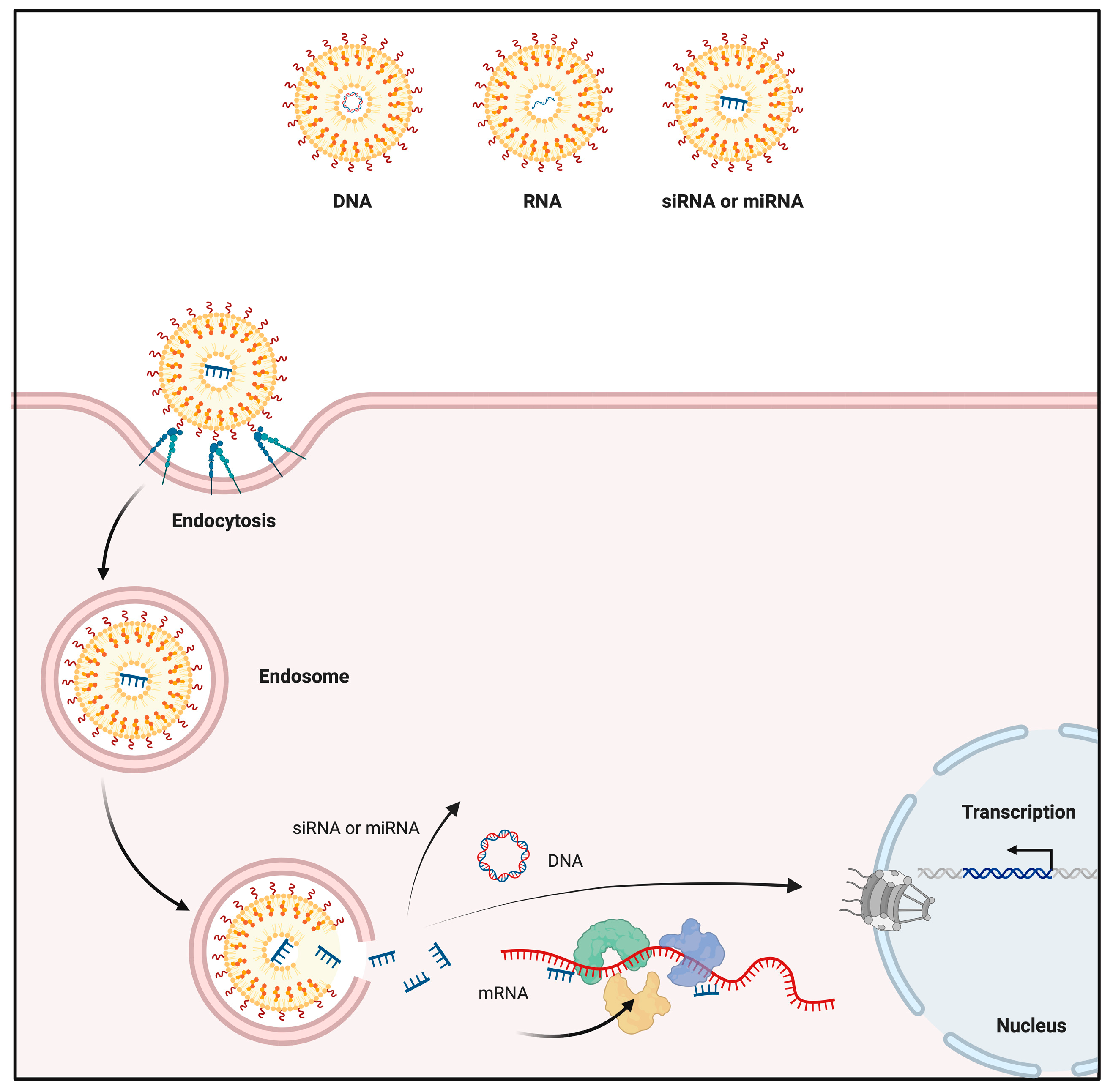 Nanomaterials 14 01854 g005
