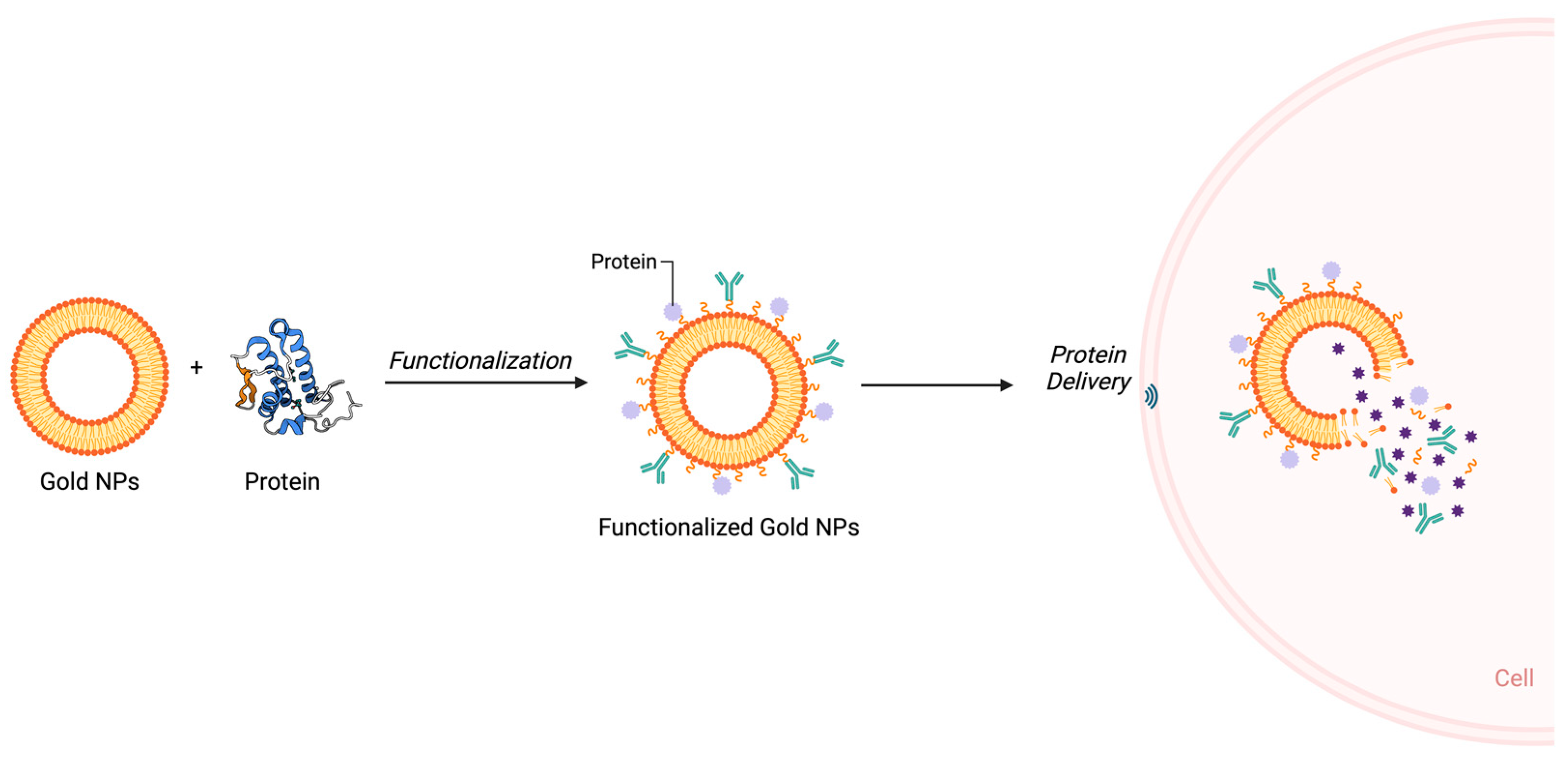 Nanomaterials 14 01854 g006