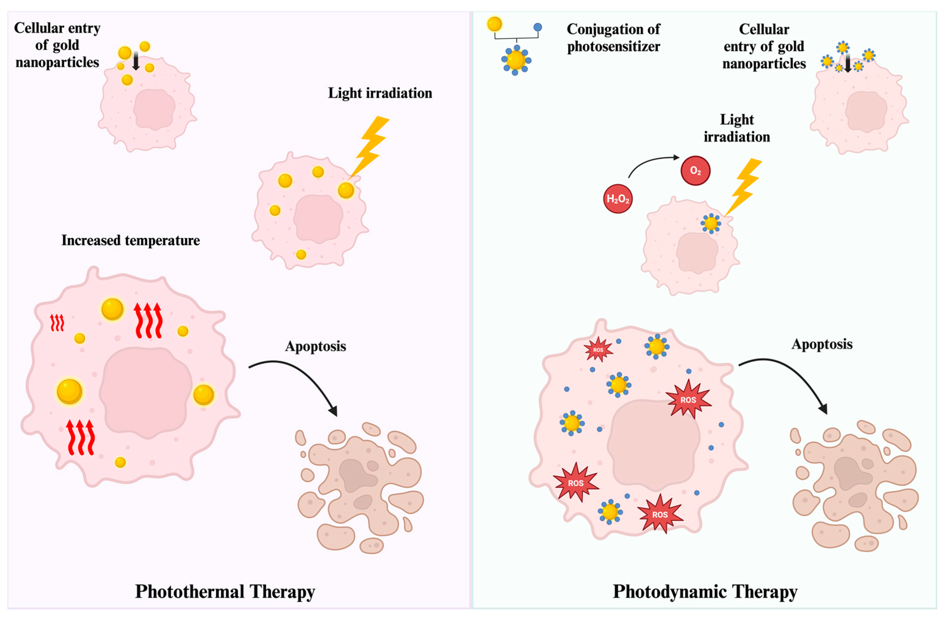 Nanomaterials 14 01854 g007
