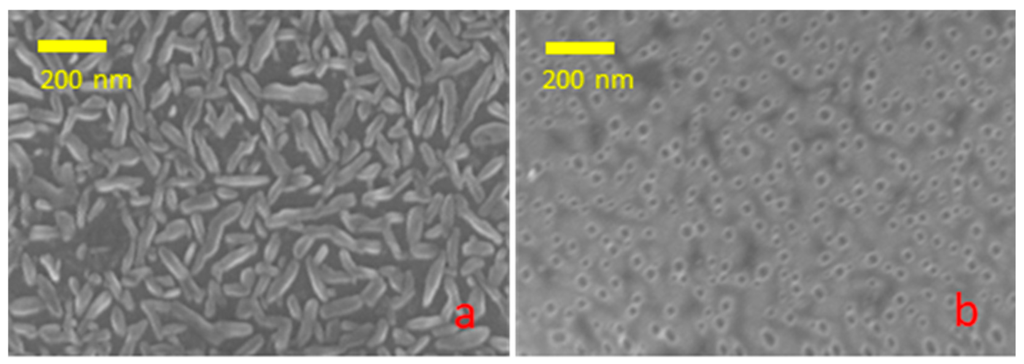 Nanomaterials 14 01860 g006