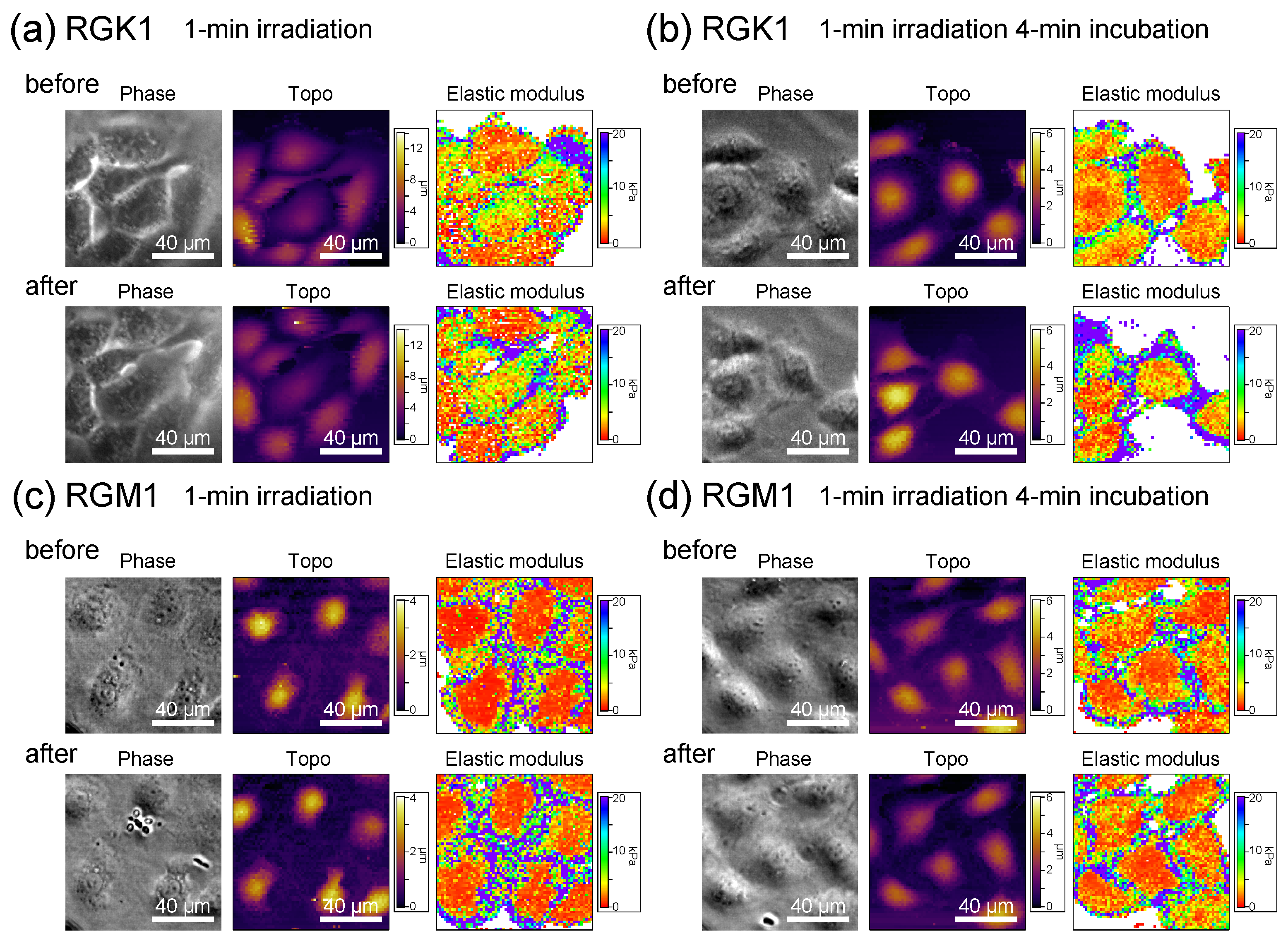 Nanomaterials 14 01862 g005