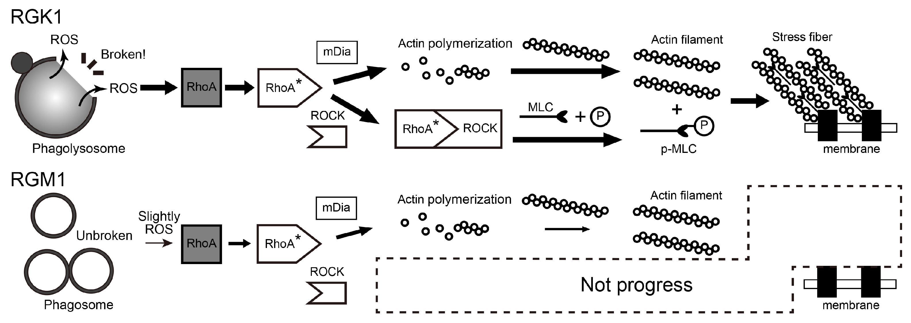 Nanomaterials 14 01862 g007