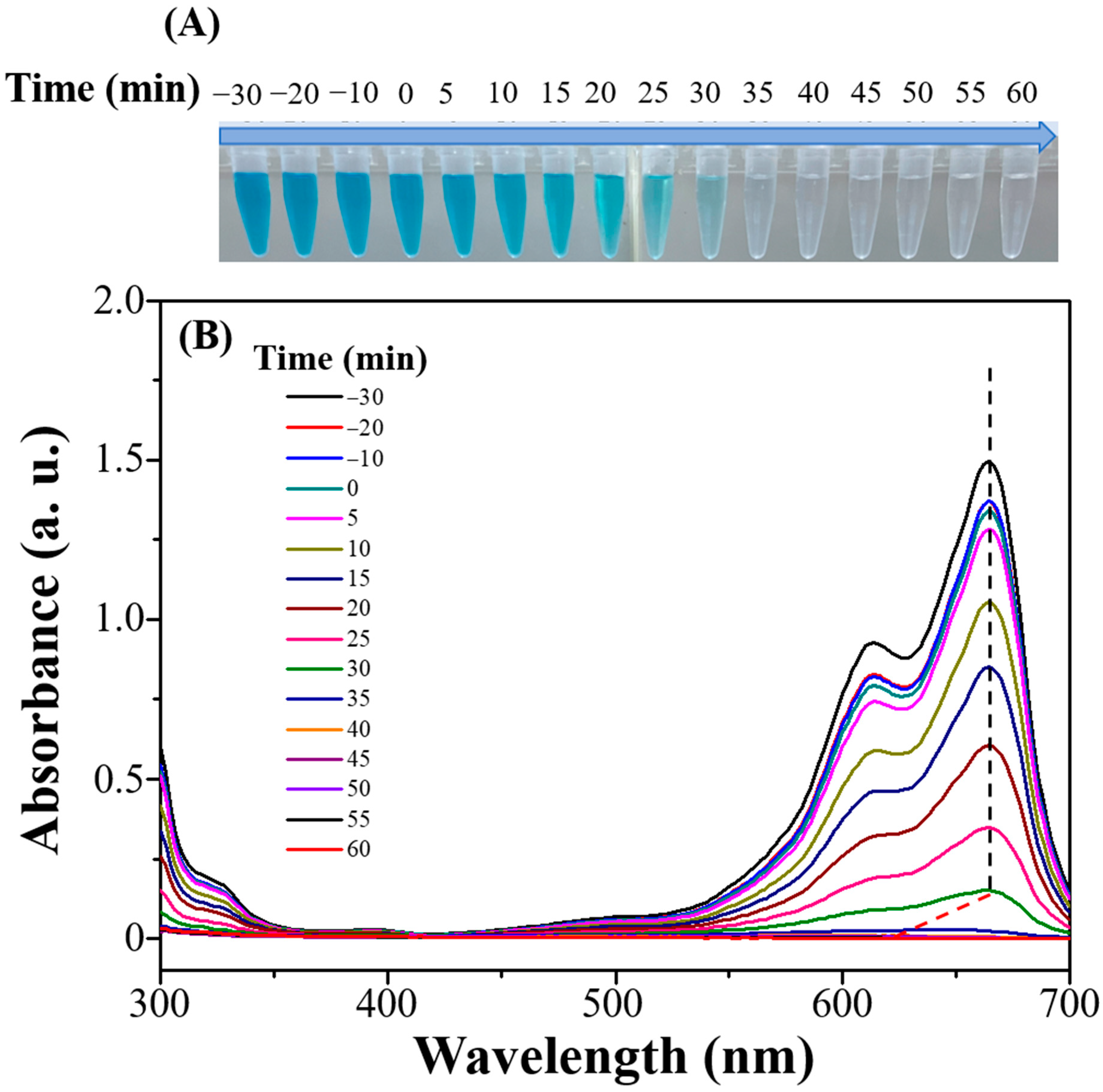 Nanomaterials 14 01865 g004