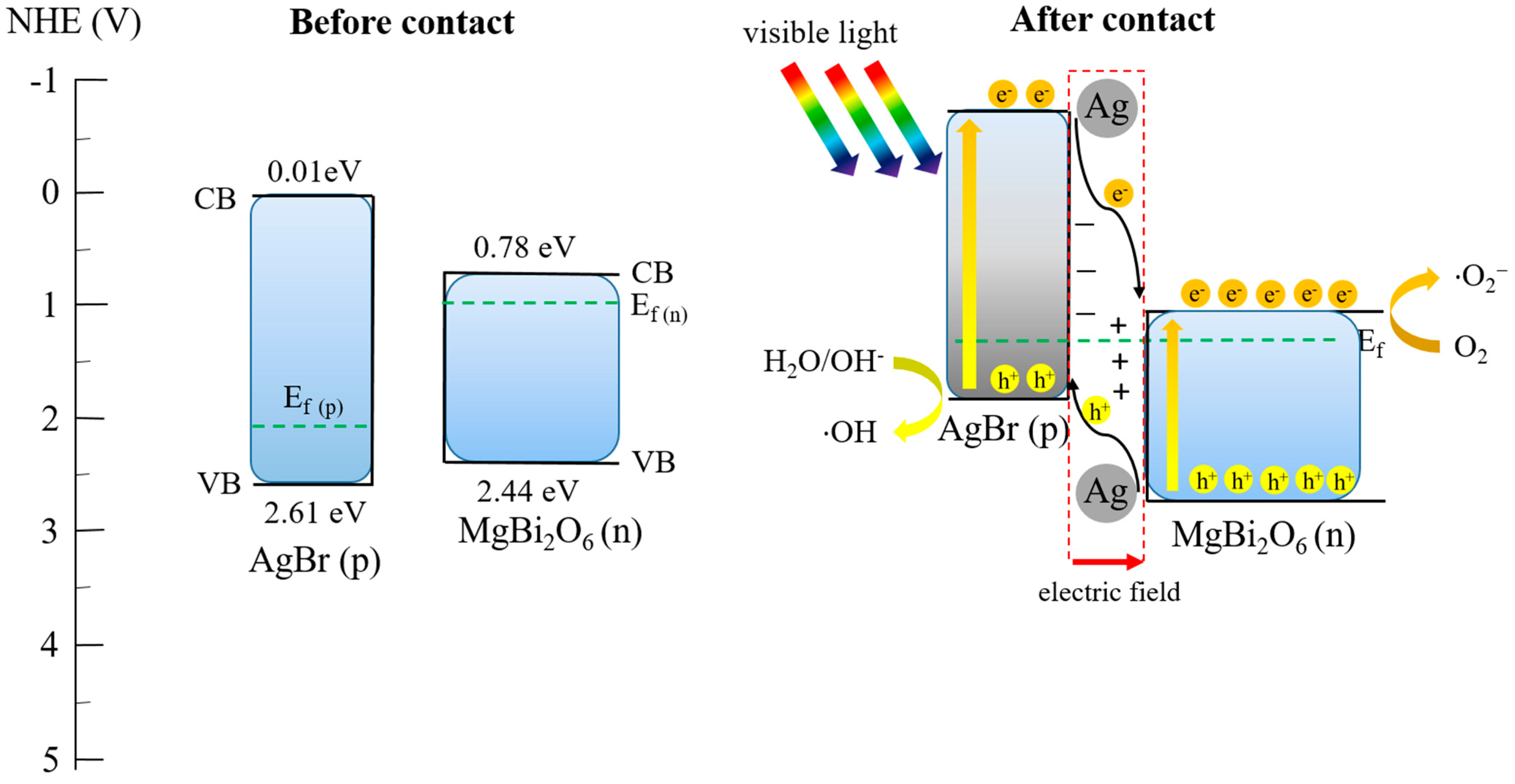Nanomaterials 14 01865 sch001